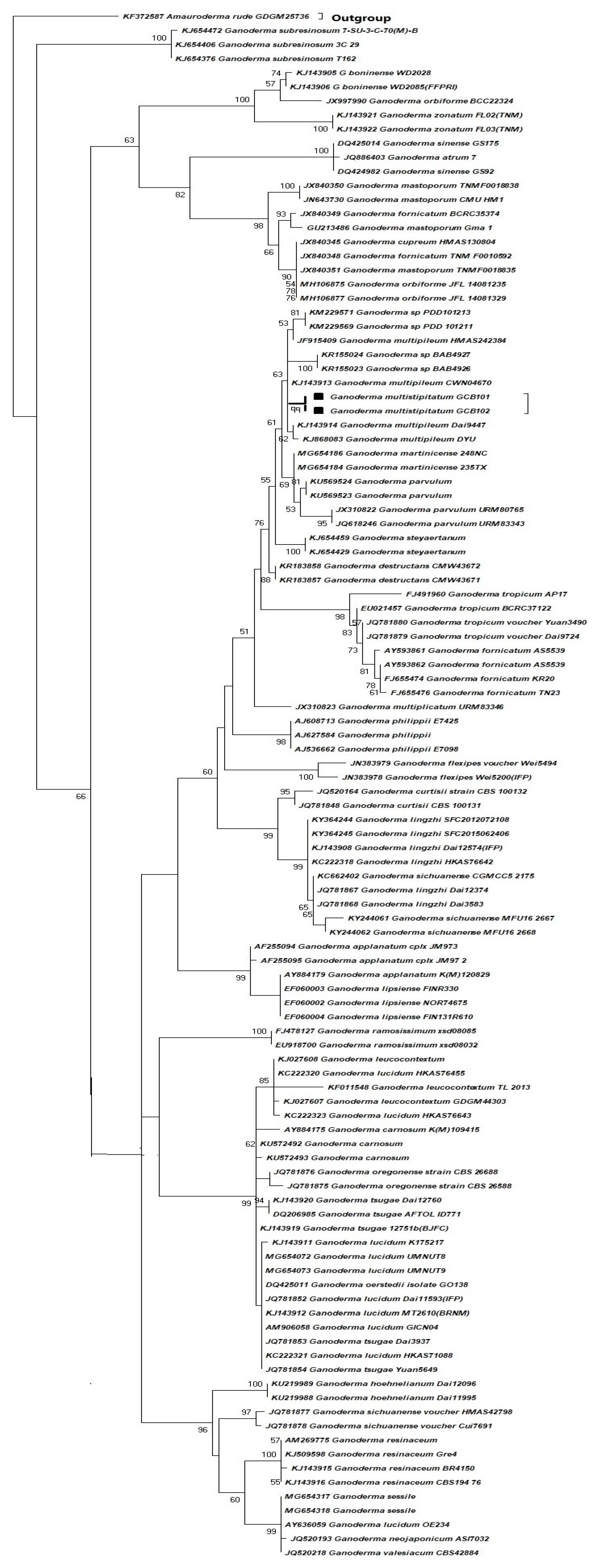 Microbiolres 14 00095 g001