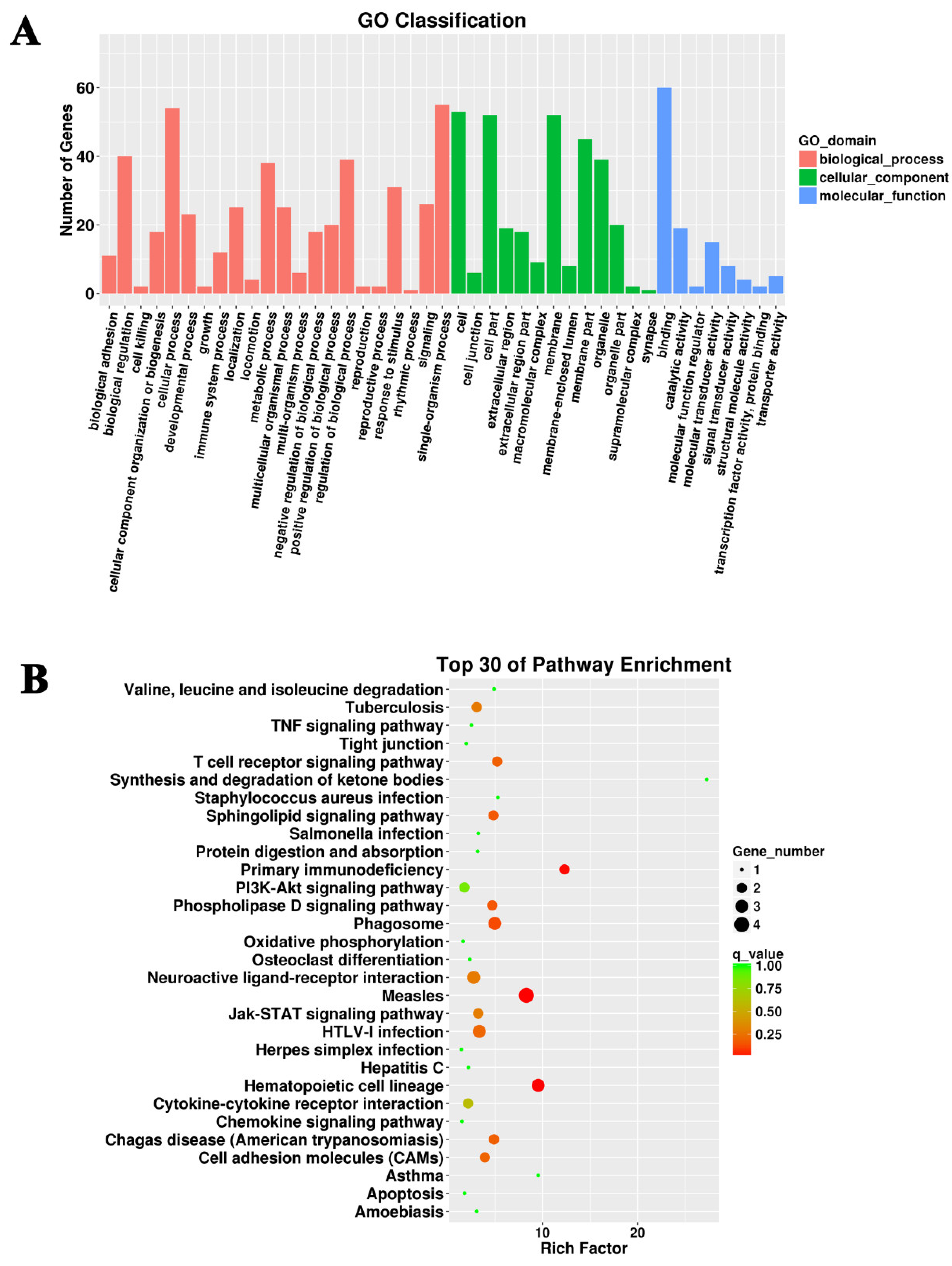 Microbiolres 14 00097 g003