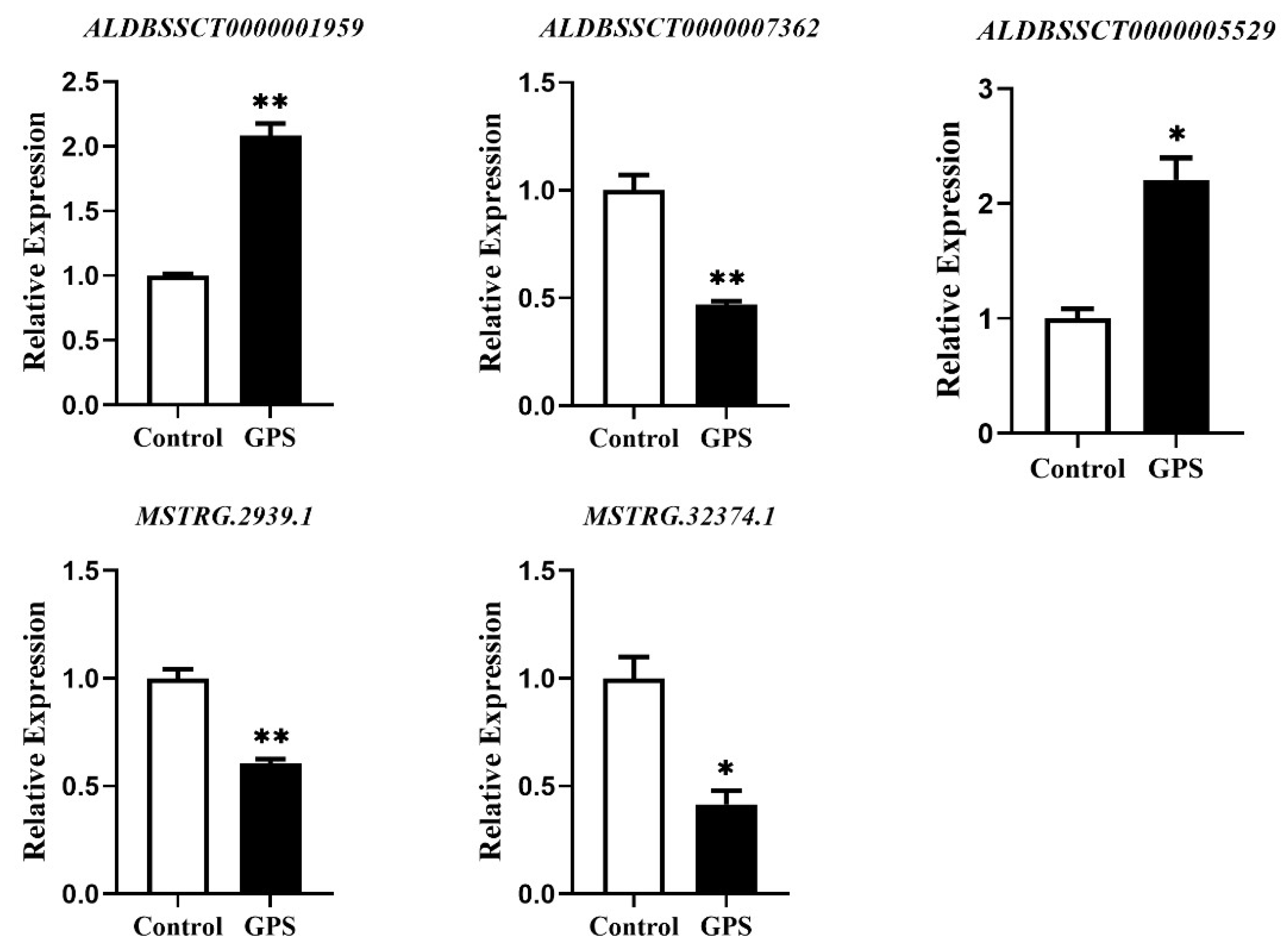 Microbiolres 14 00097 g006