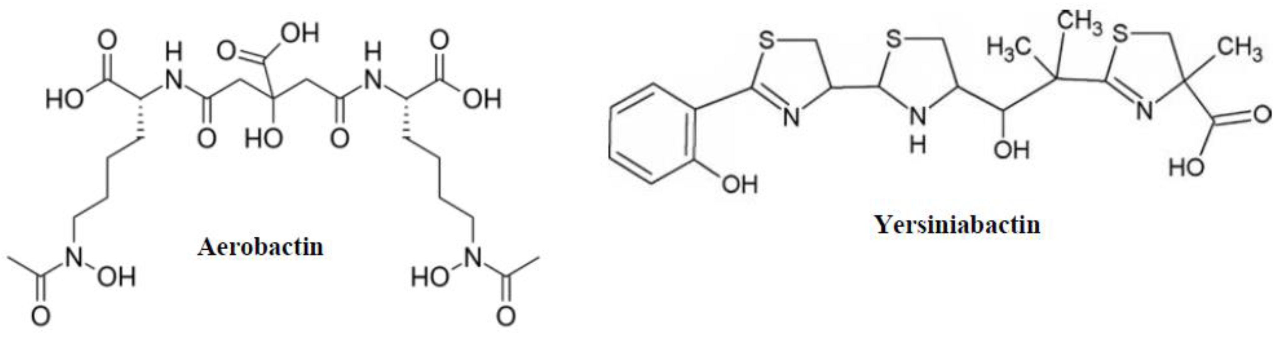 Microbiolres 14 00099 g005 Microbiolres 14 00099 g005