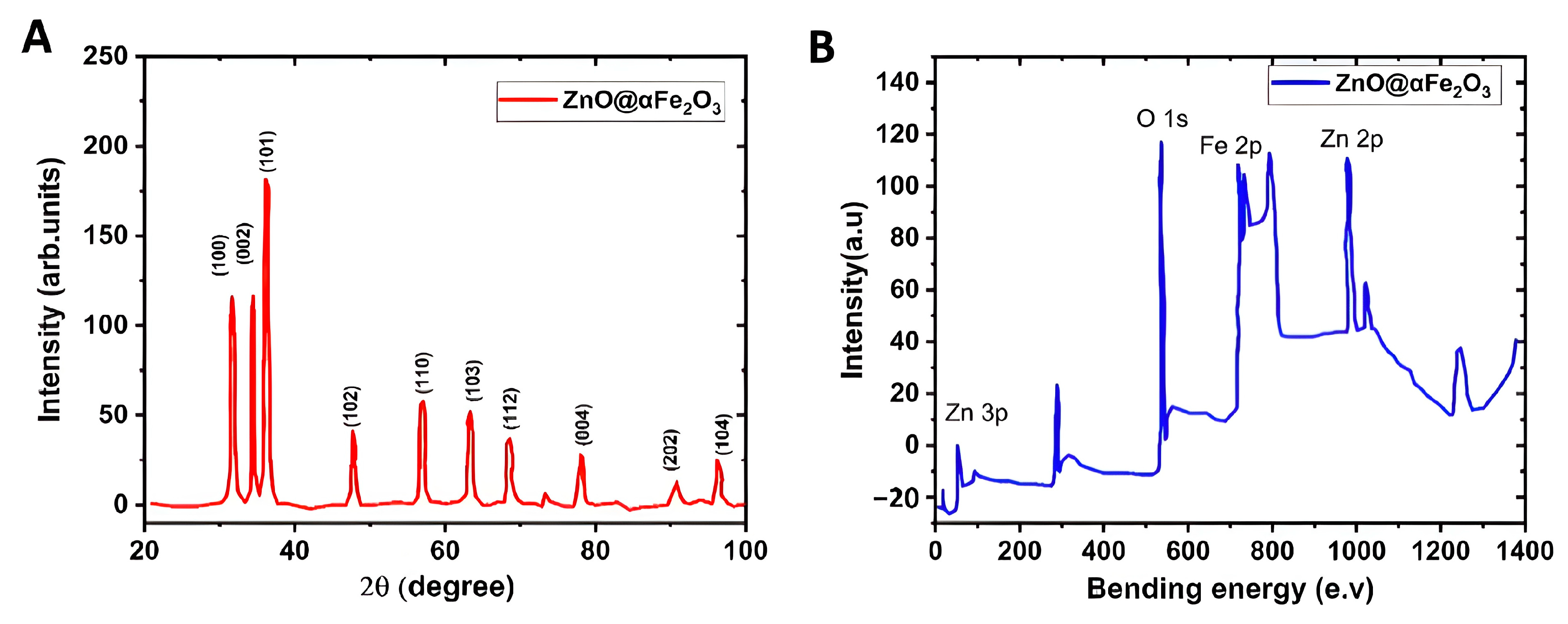 Microbiolres 14 00102 g006