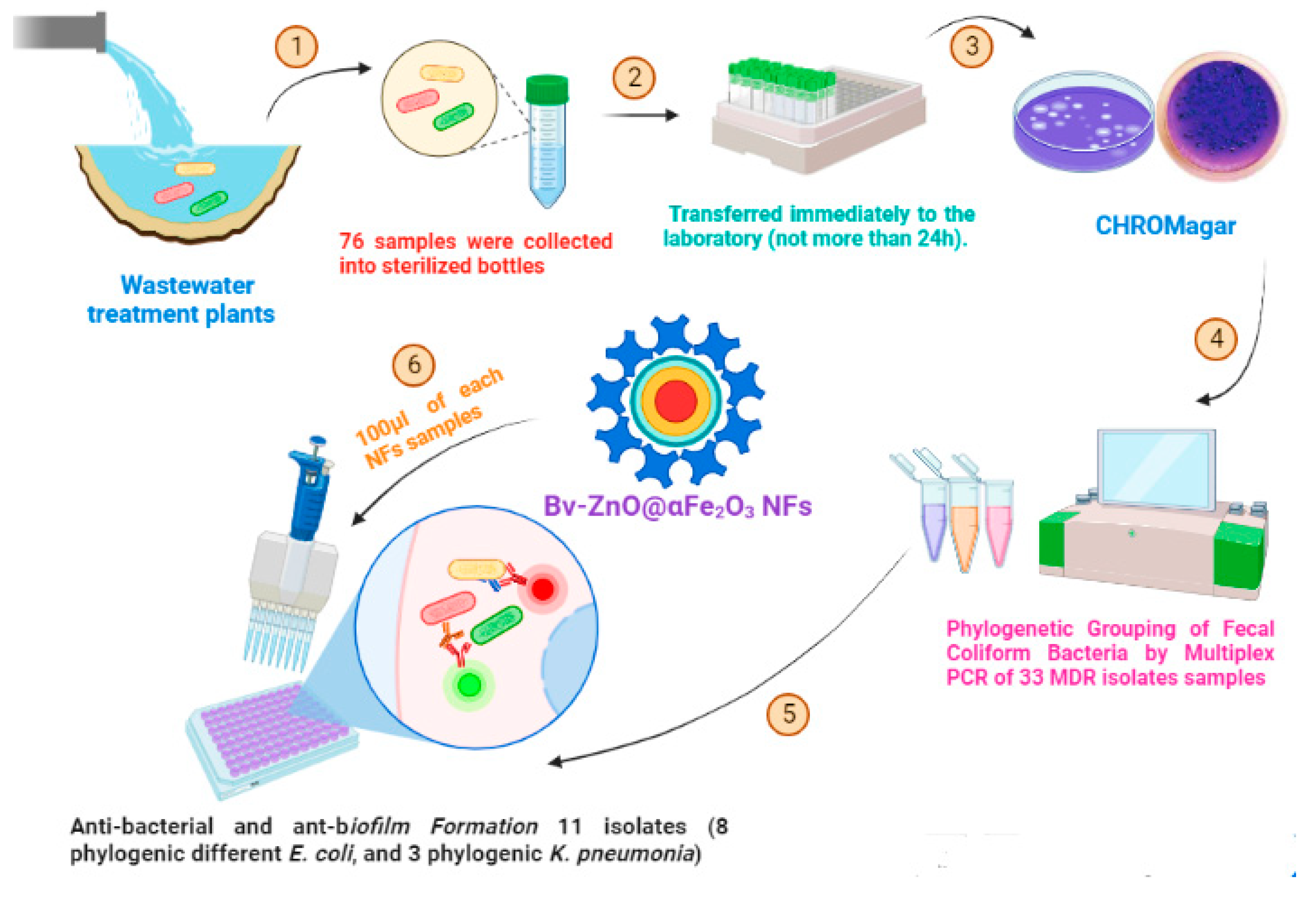 Microbiolres 14 00102 sch001