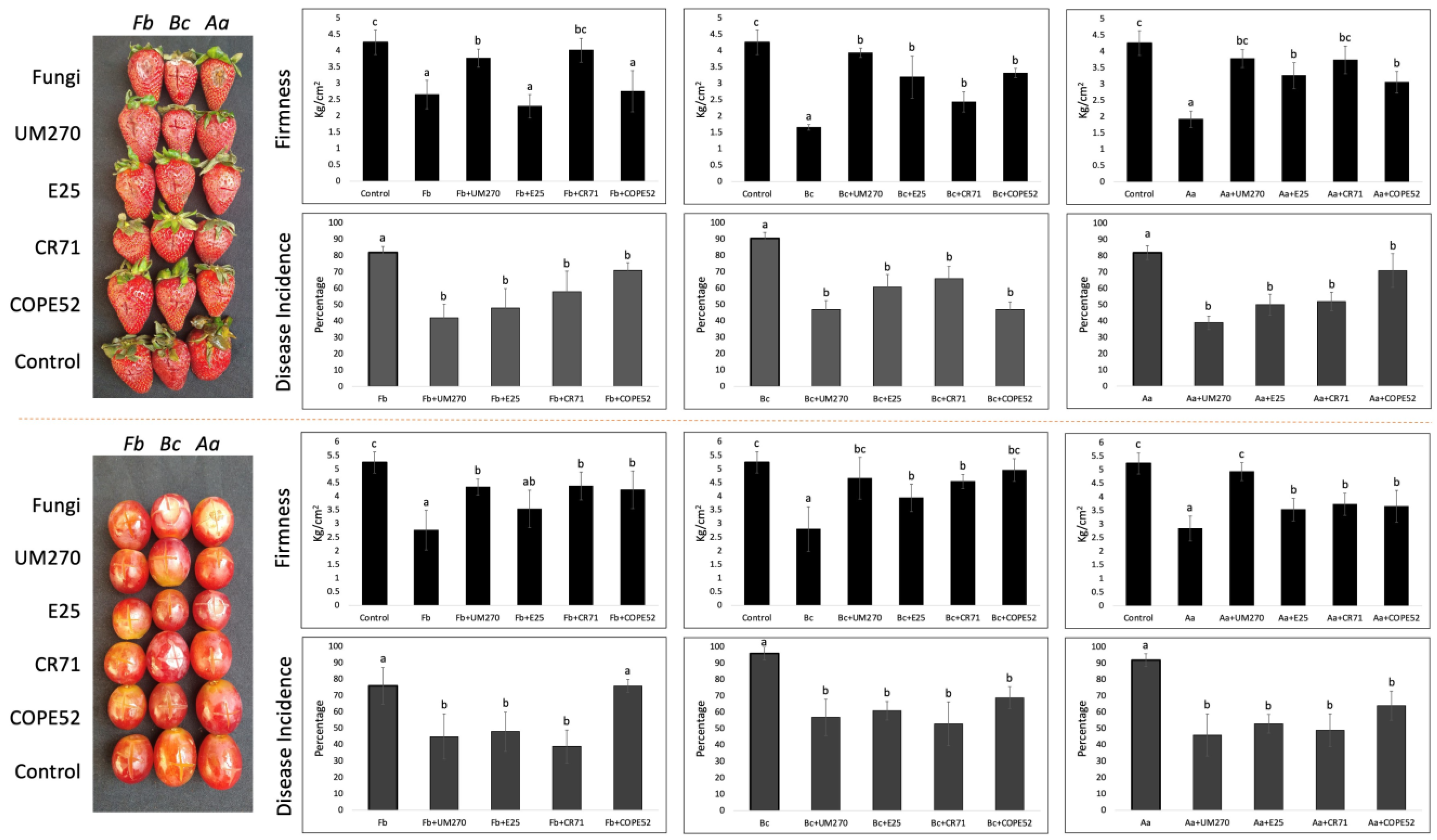 Microbiolres 14 00103 g001