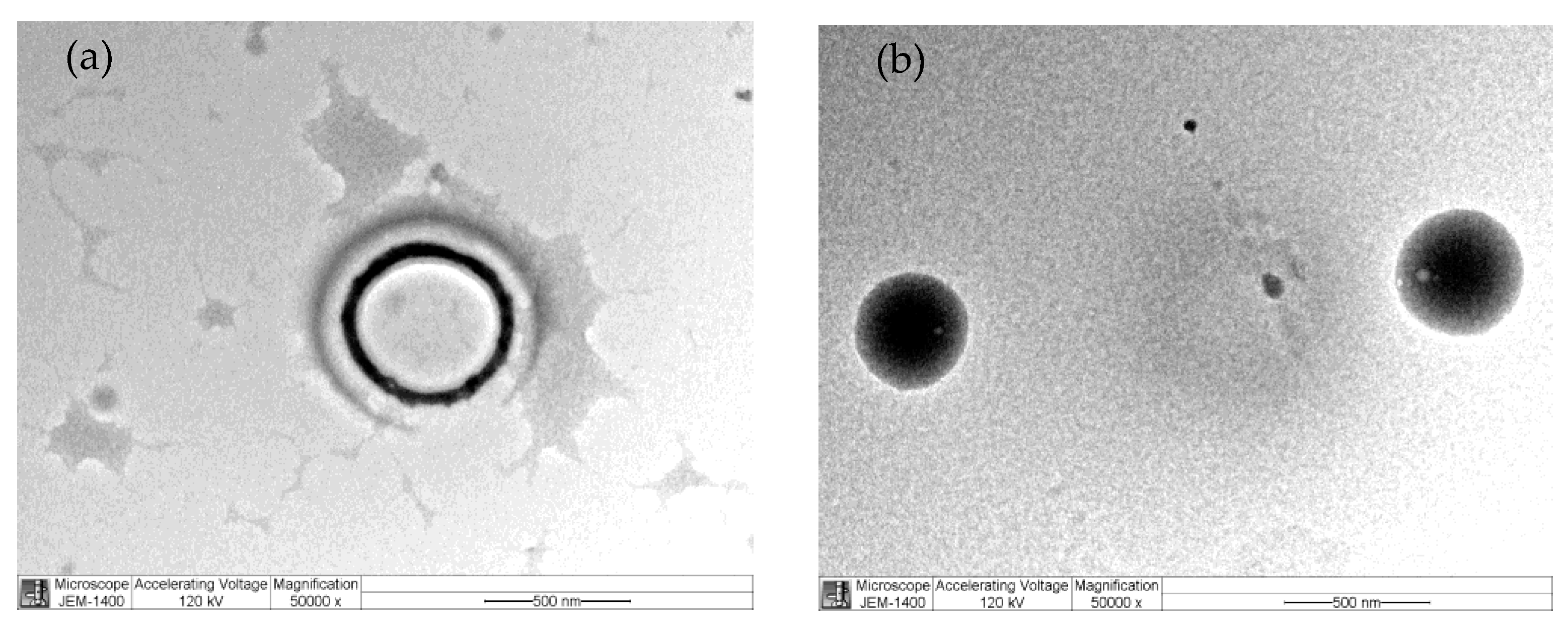 Microbiolres 14 00110 g001