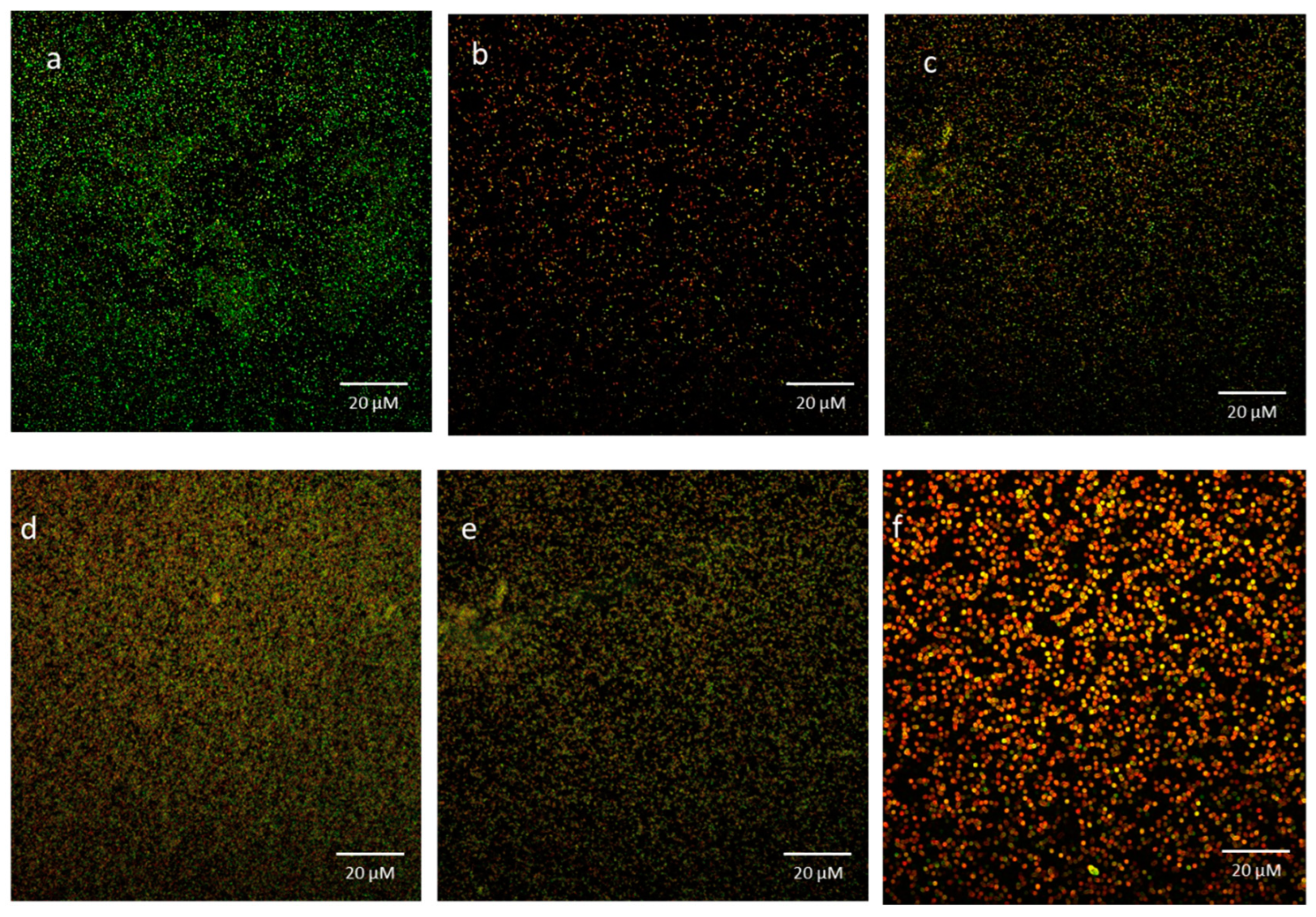 Microbiolres 14 00110 g005