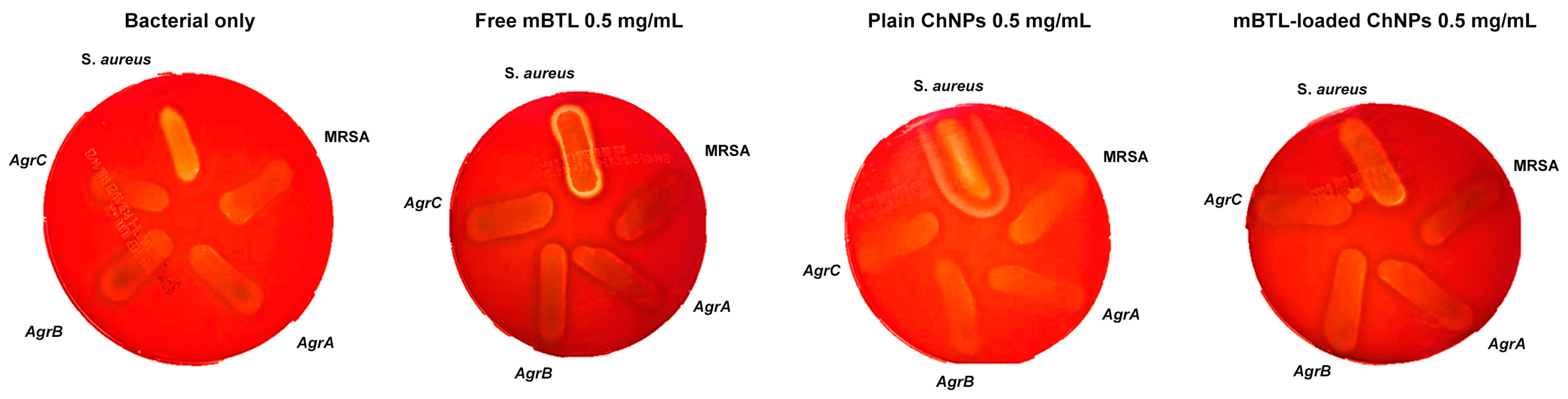 Microbiolres 14 00110 g007