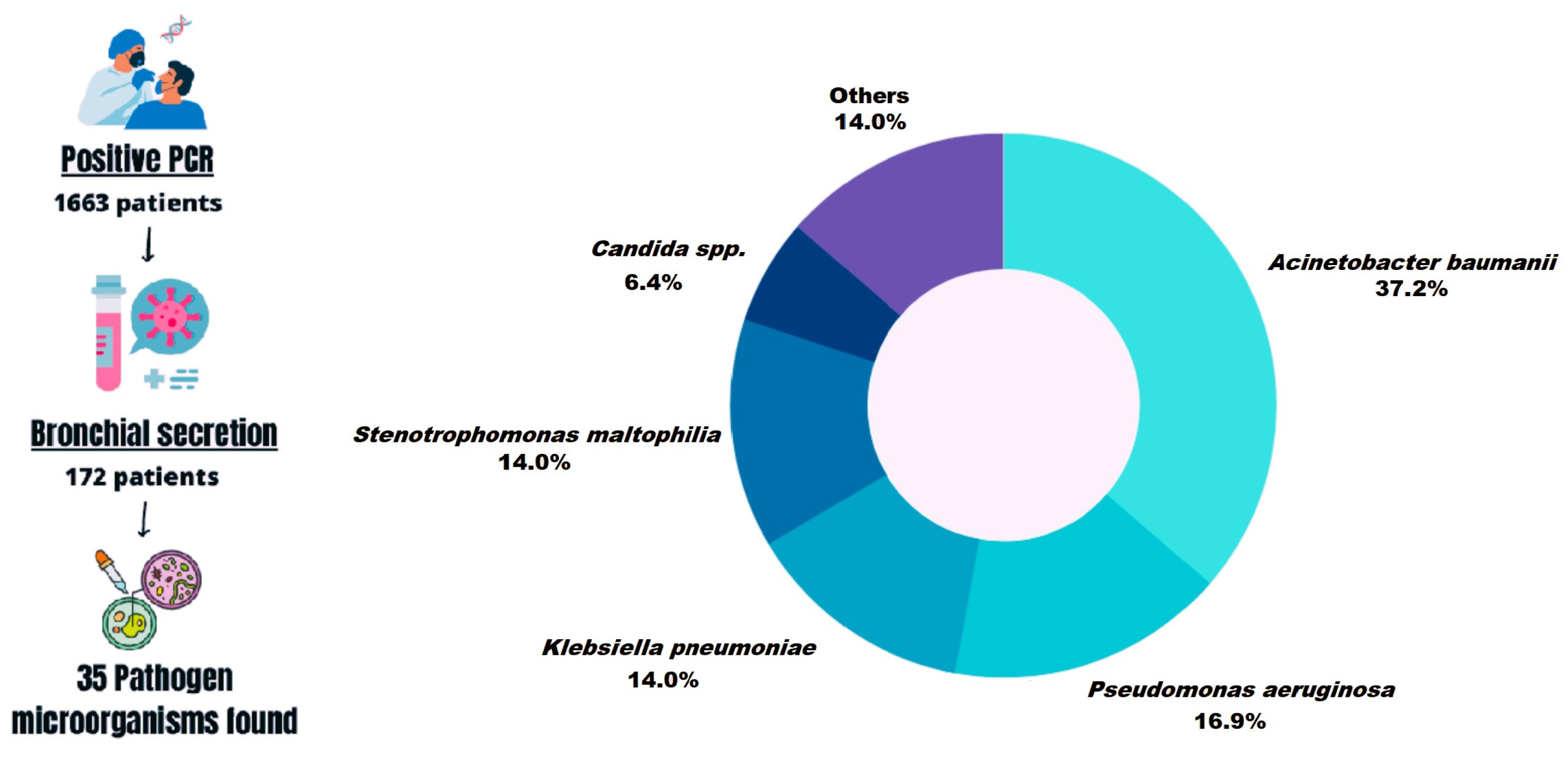 Microbiolres 14 00111 g001