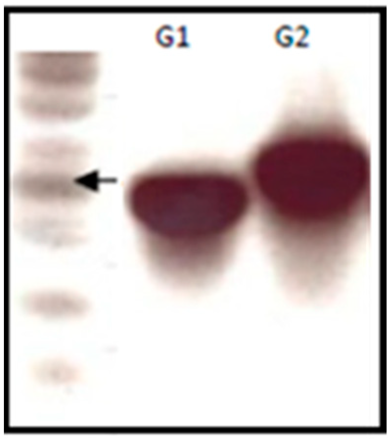 Microbiolres 14 00112 g001