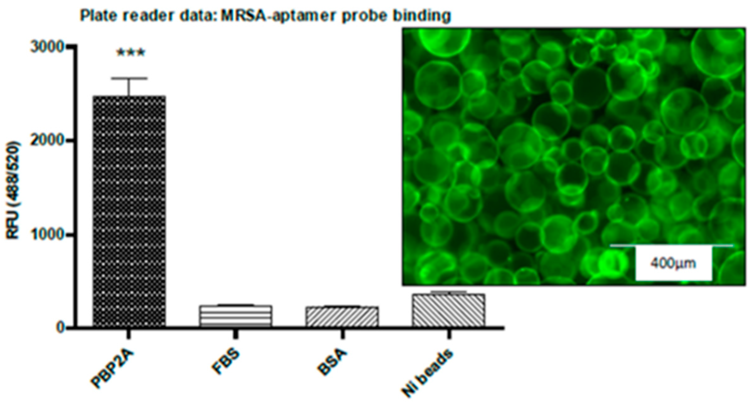 Microbiolres 14 00112 g008