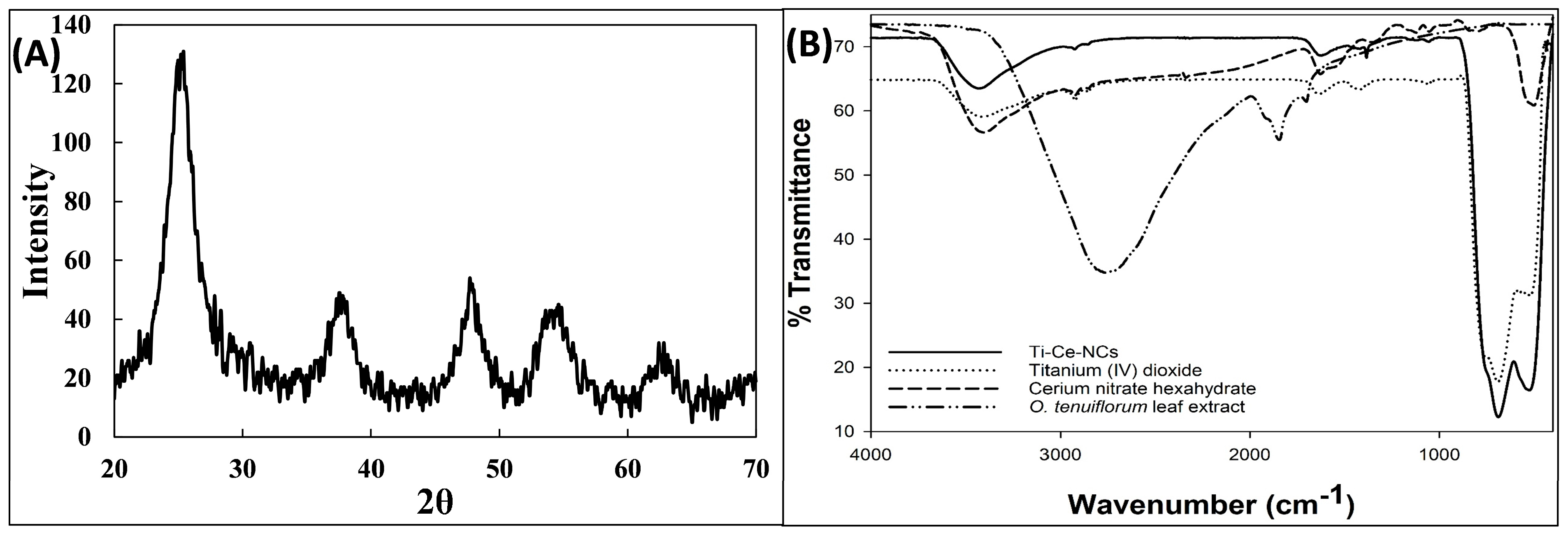 Microbiolres 14 00114 g001