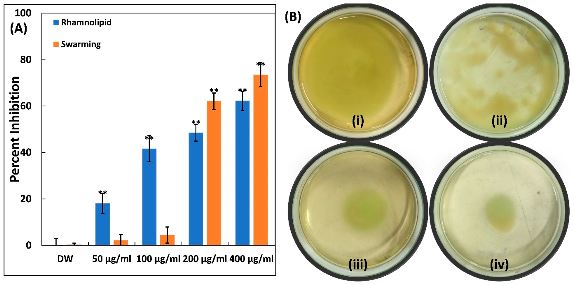 Microbiolres 14 00114 g005