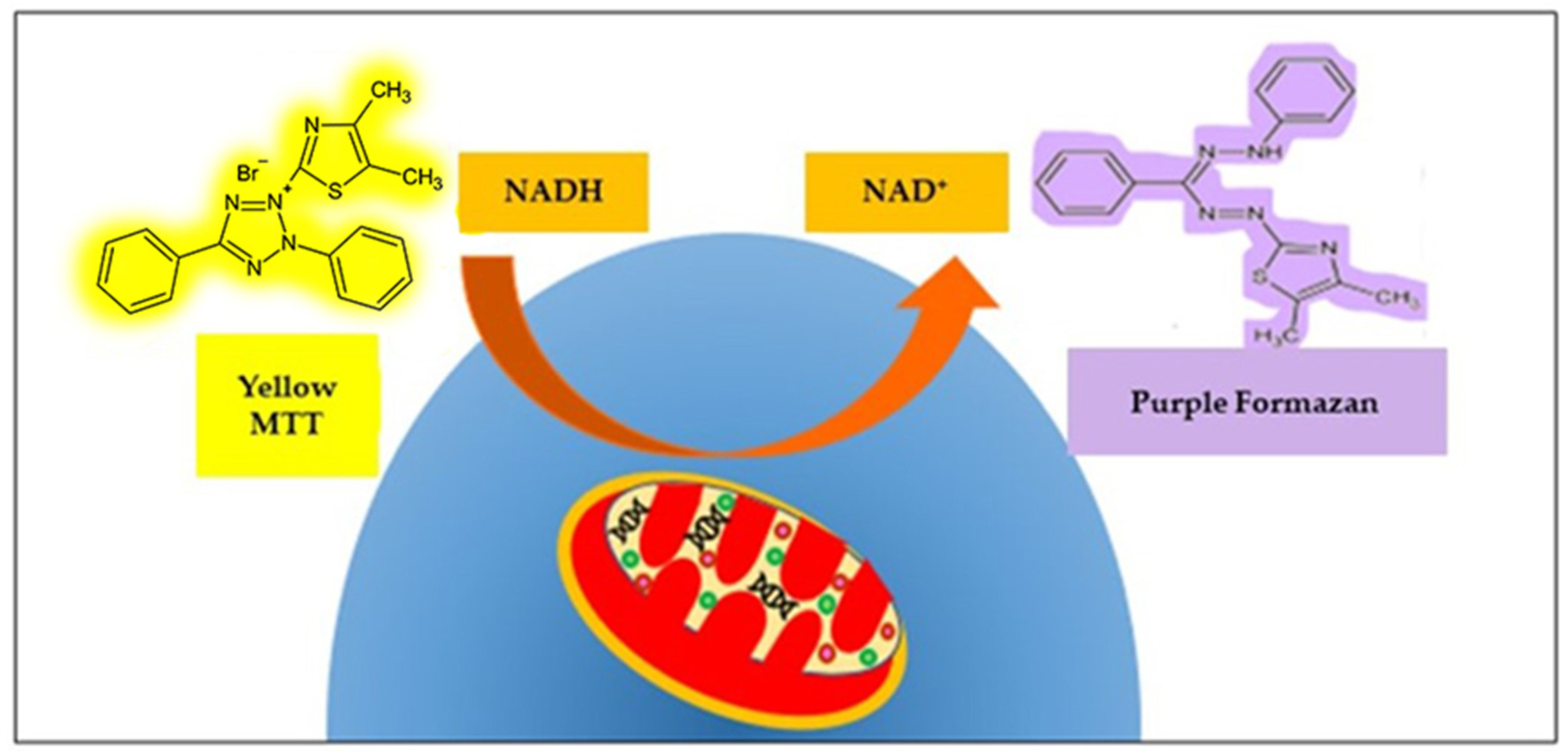 Microbiolres 14 00119 g005 Microbiolres 14 00119 g005