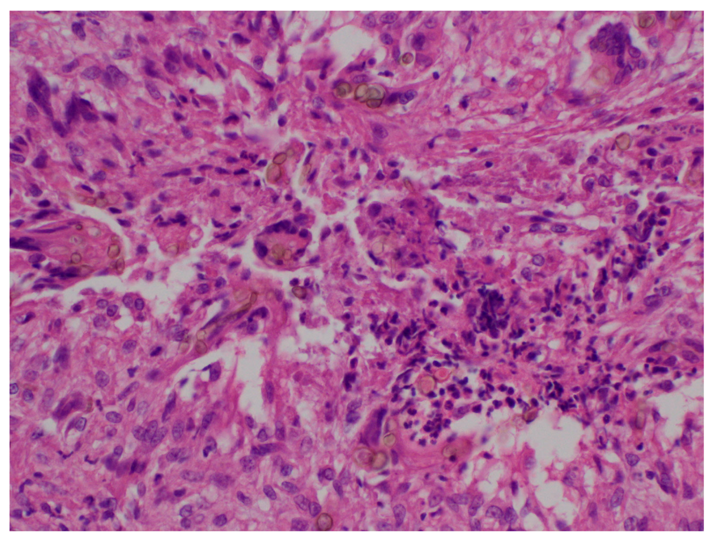 Microbiolres 14 00120 g003