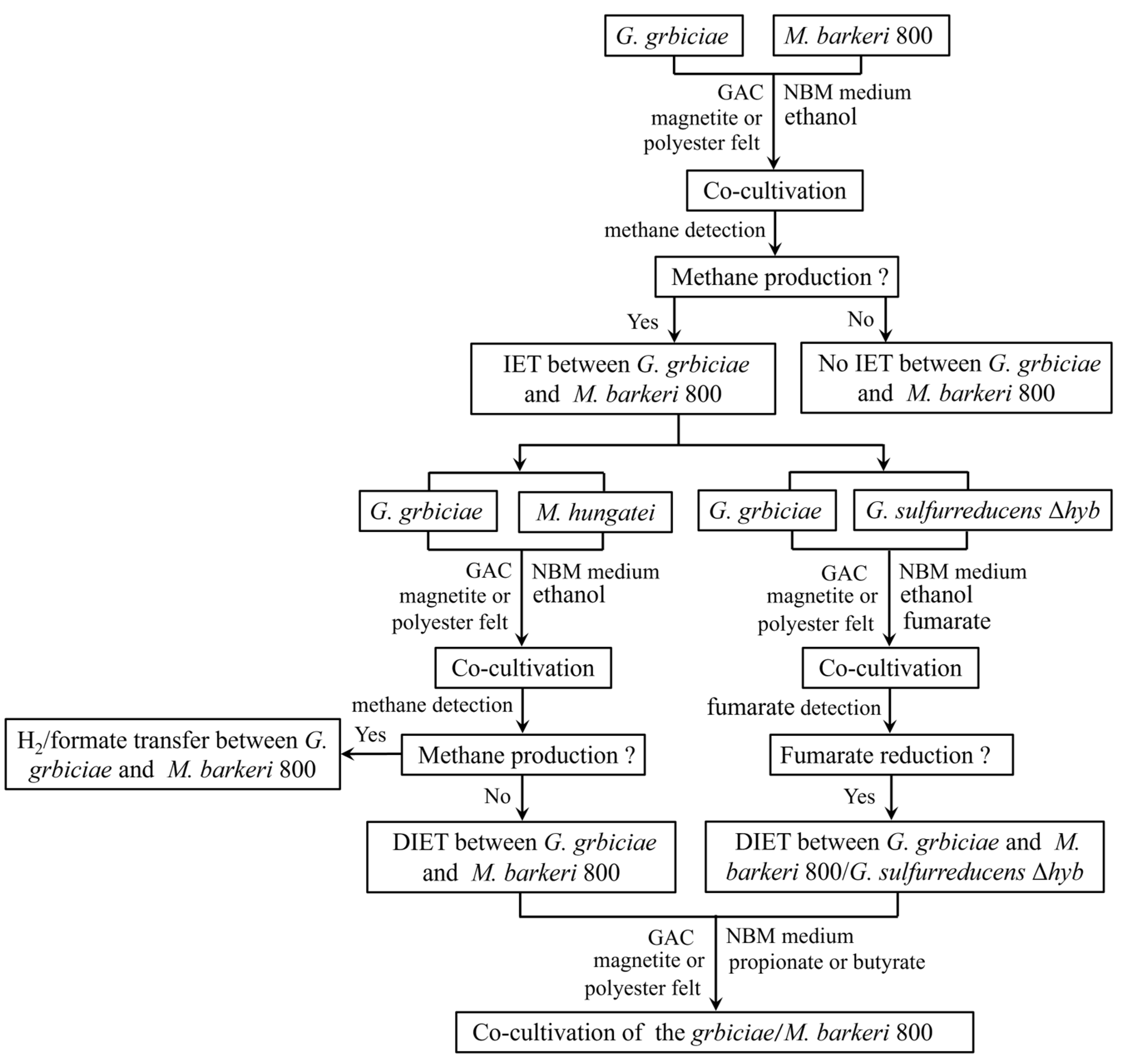 Microbiolres 14 00122 g001