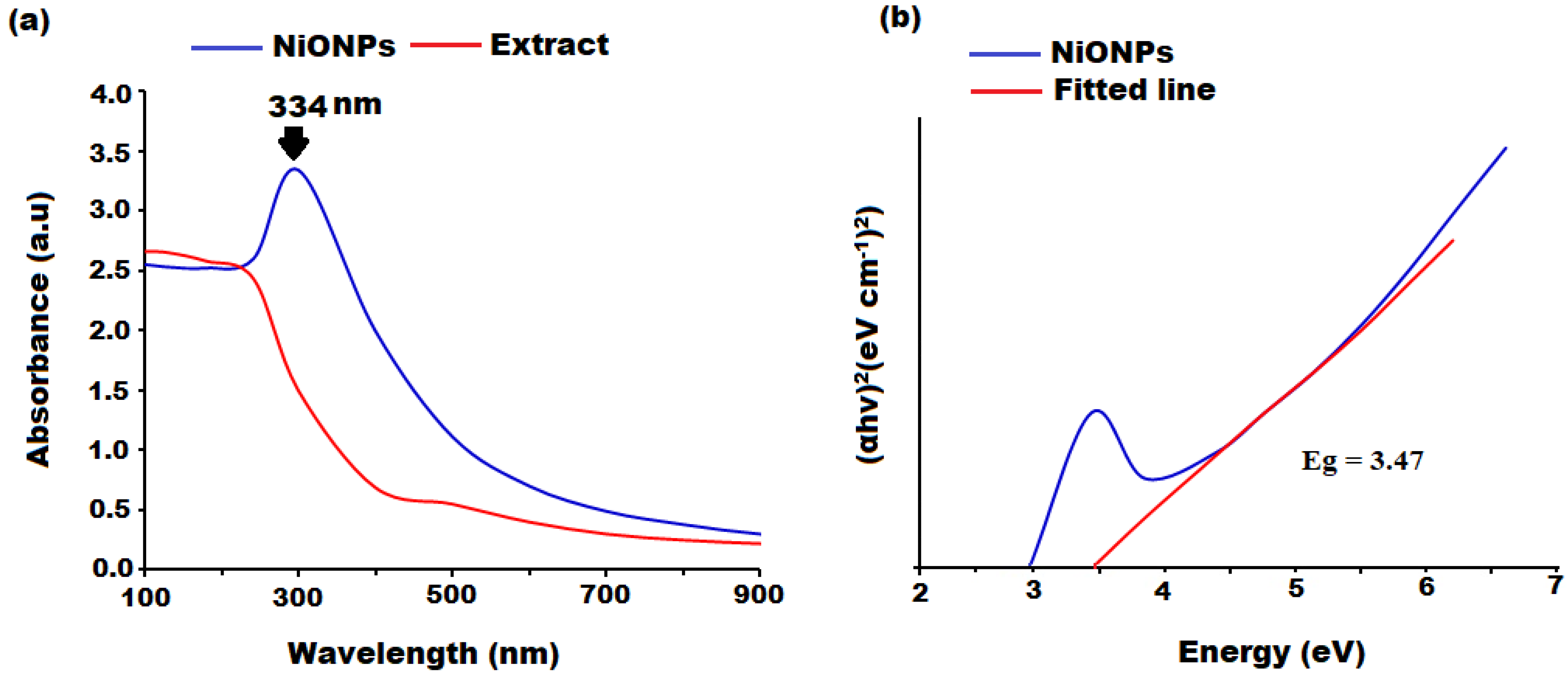 Microbiolres 14 00128 g001 Microbiolres 14 00128 g001