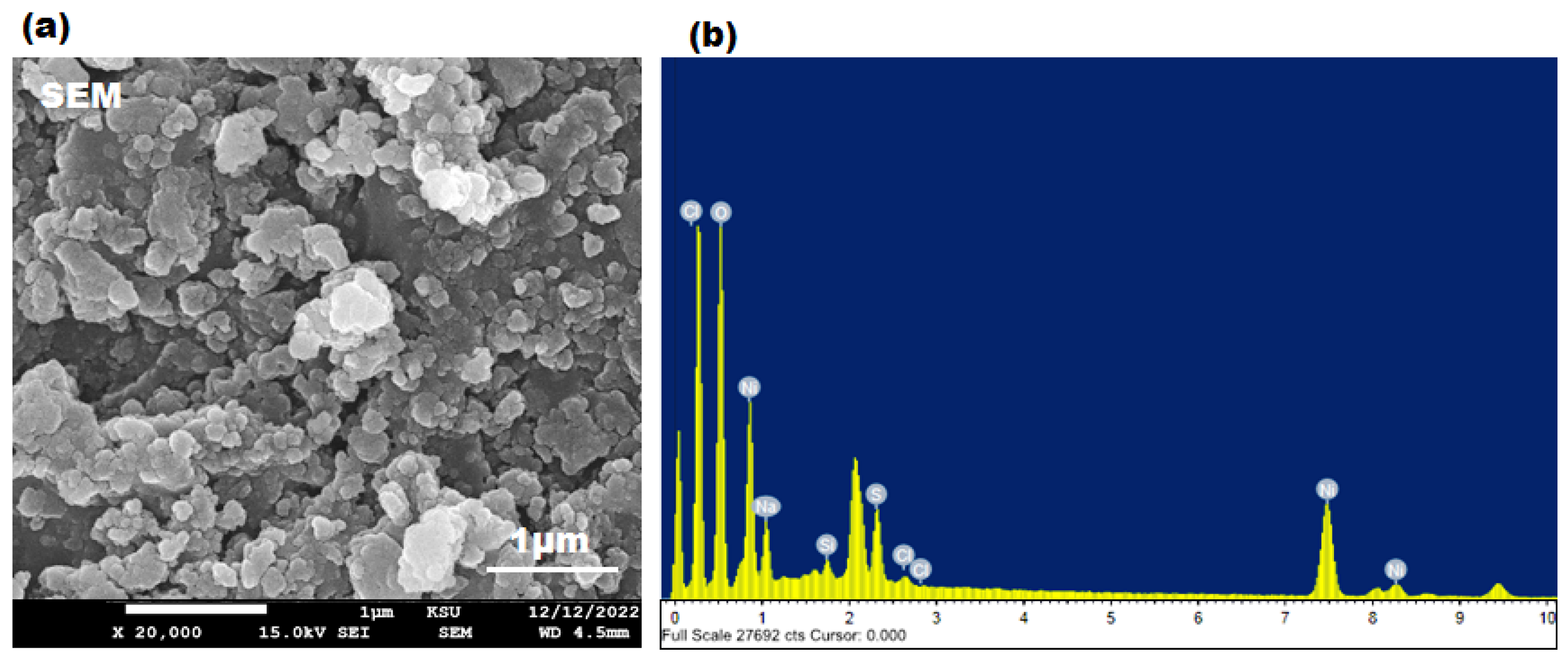 Microbiolres 14 00128 g004 Microbiolres 14 00128 g004