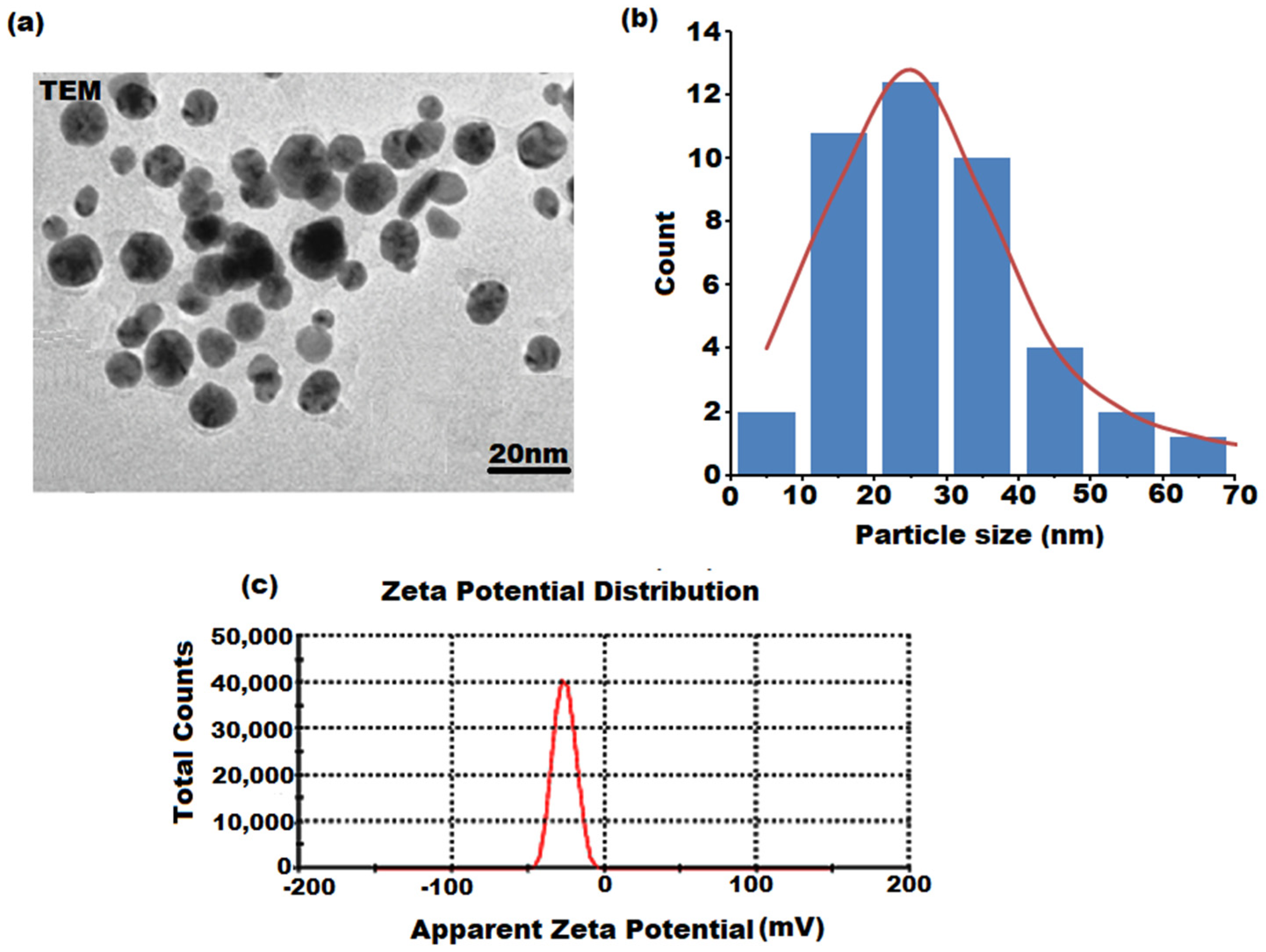 Microbiolres 14 00128 g005 Microbiolres 14 00128 g005