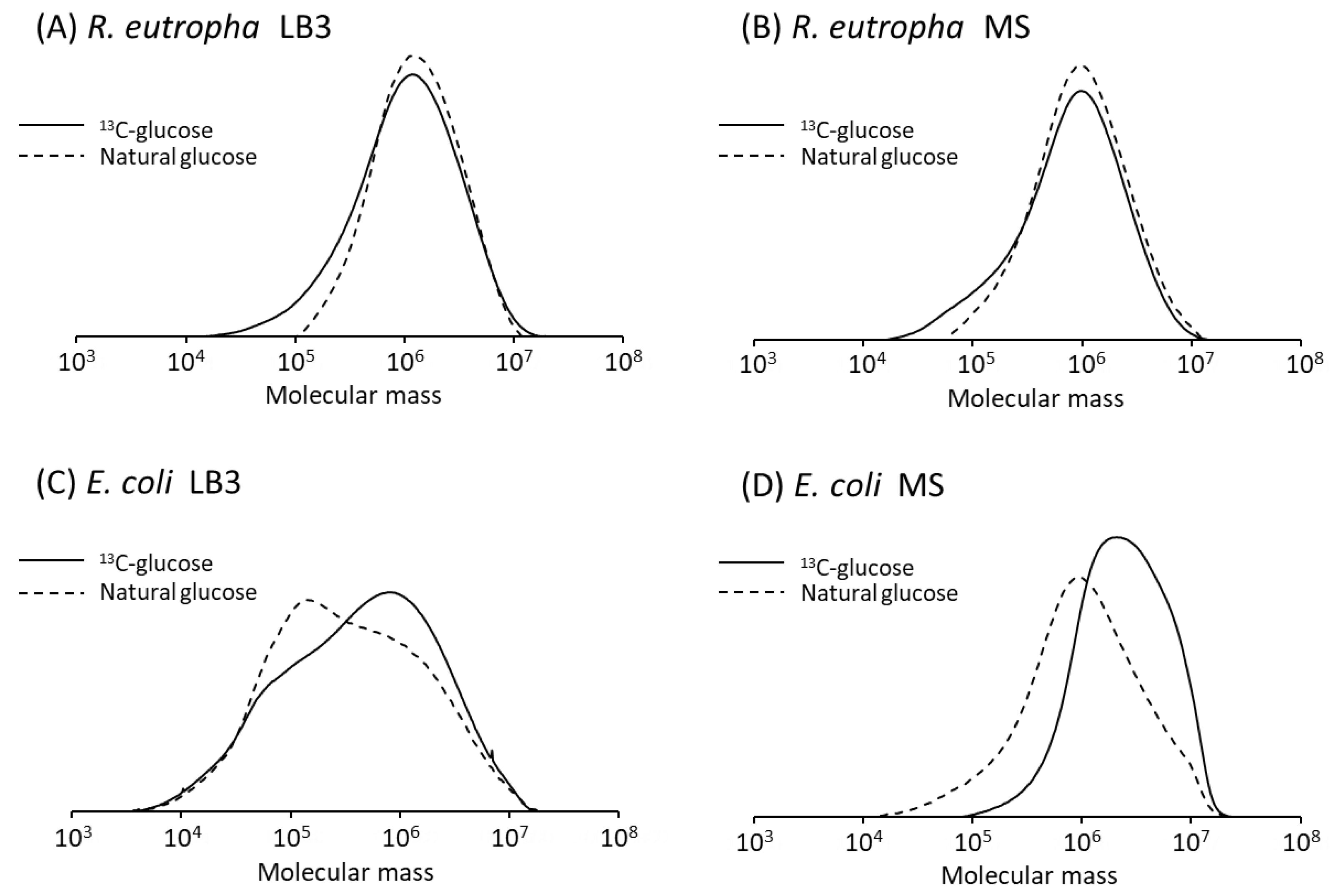Microbiolres 14 00129 g002 Microbiolres 14 00129 g002
