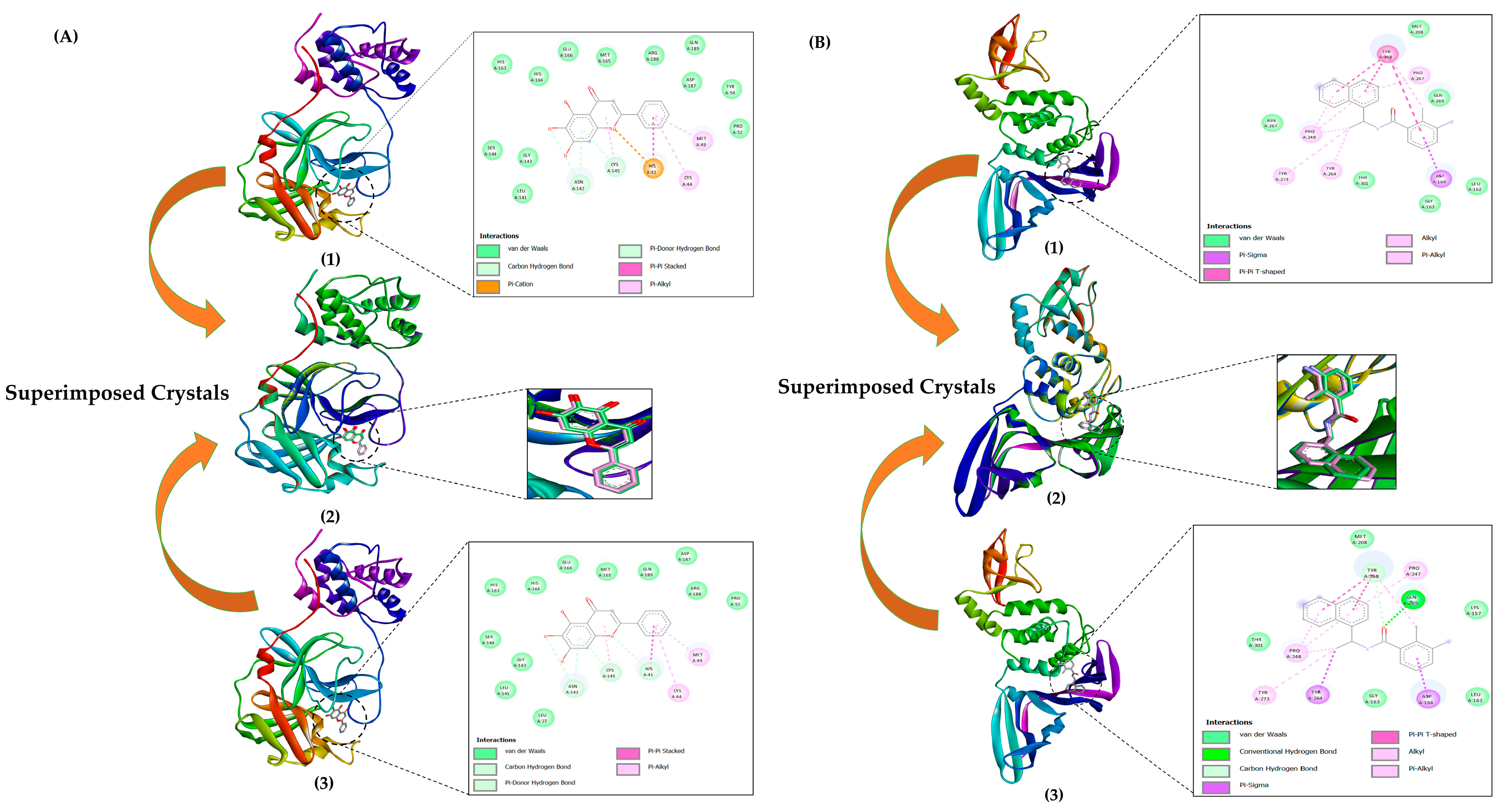 Microbiolres 14 00130 g002 Microbiolres 14 00130 g002