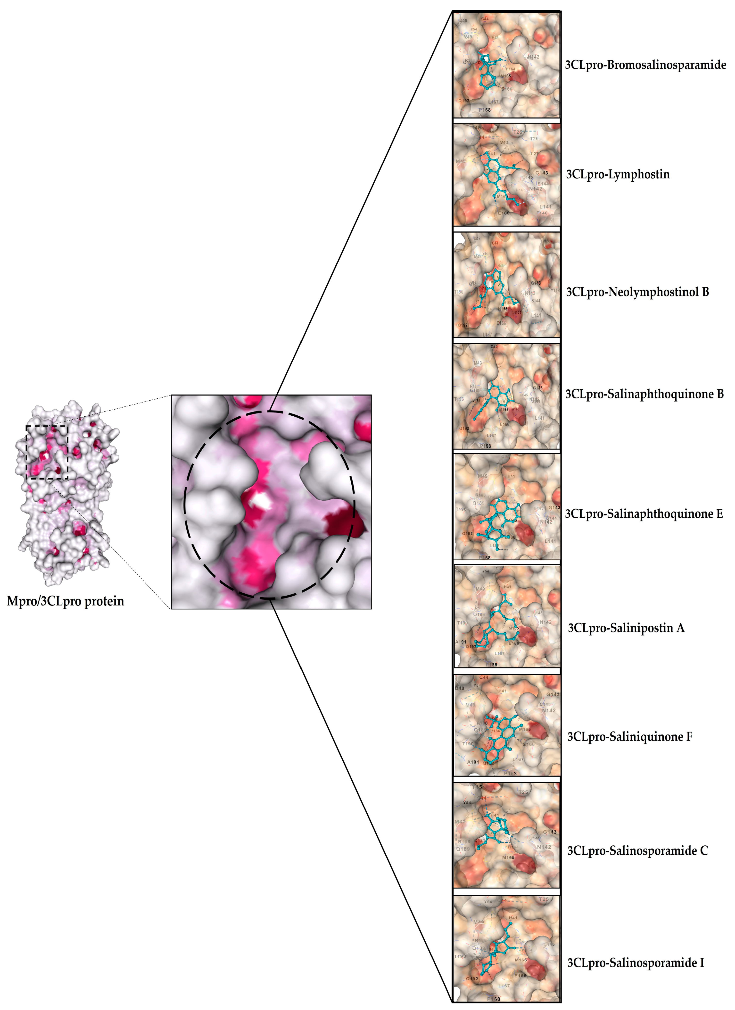 Microbiolres 14 00130 g004 Microbiolres 14 00130 g004