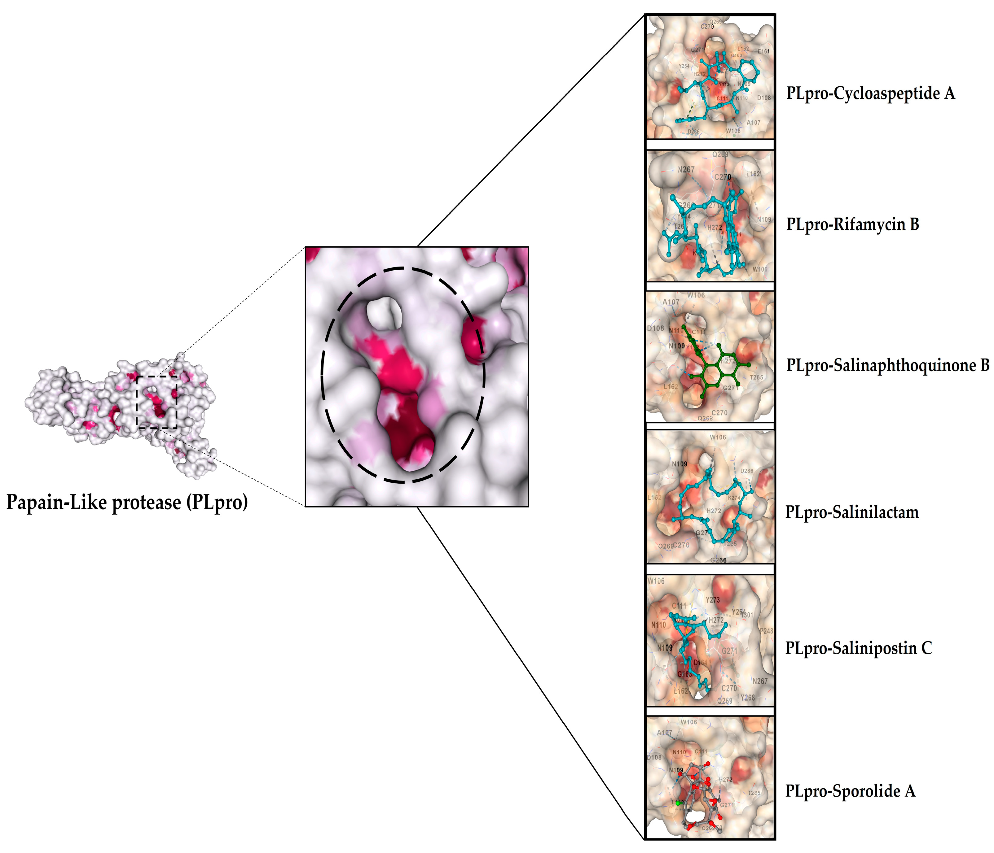 Microbiolres 14 00130 g009 Microbiolres 14 00130 g009