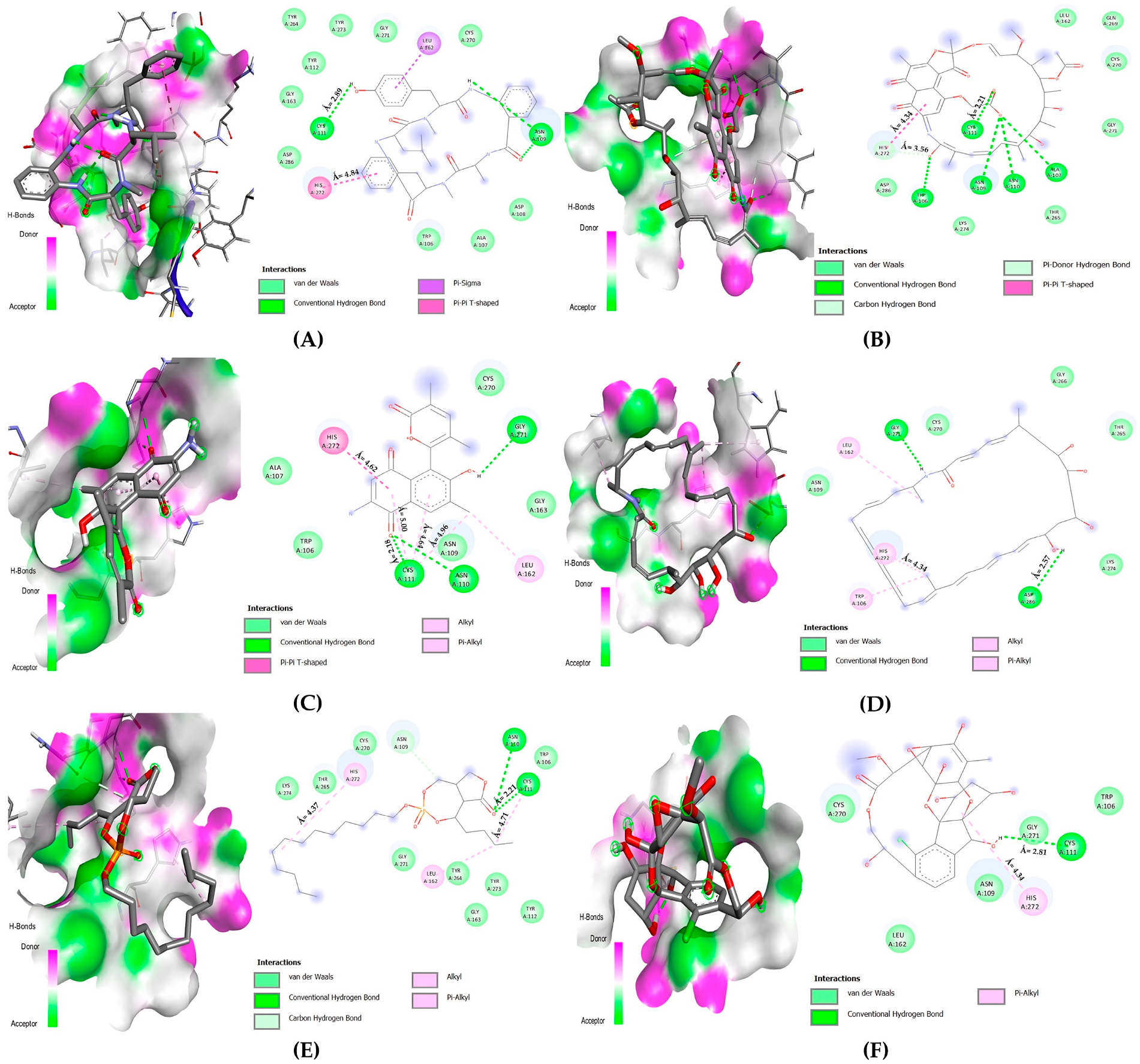Microbiolres 14 00130 g010 Microbiolres 14 00130 g010