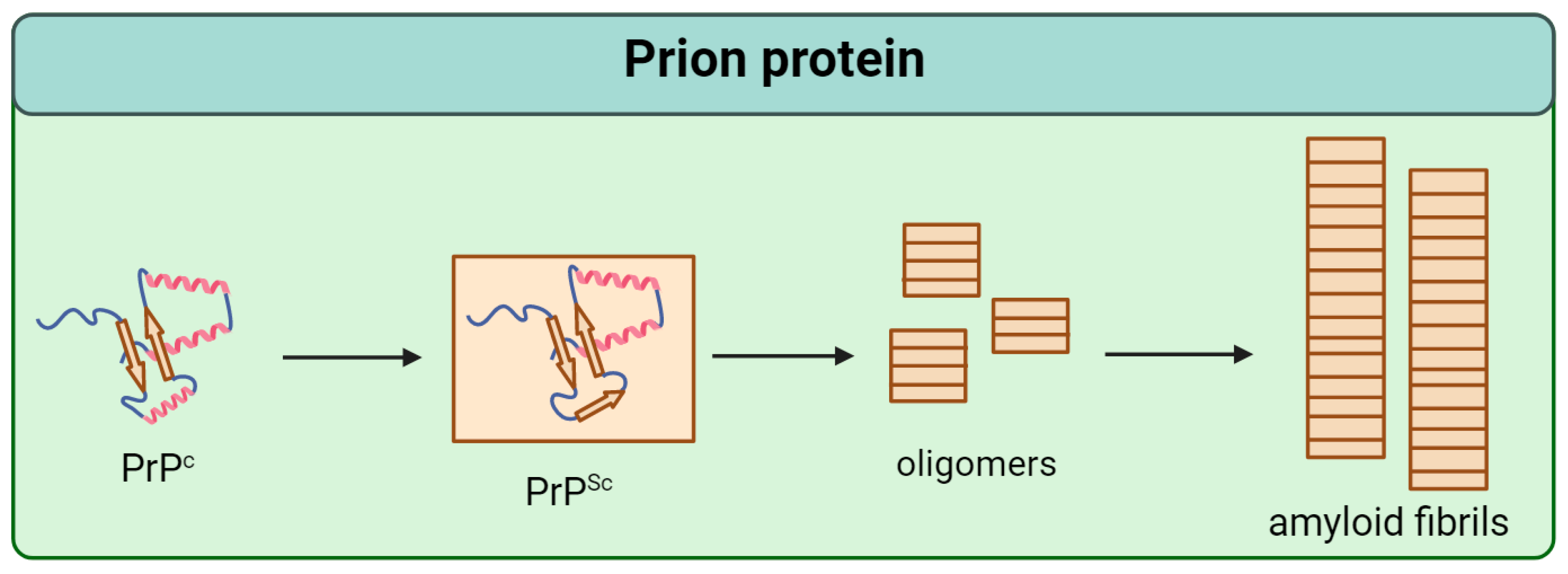 Microbiolres 14 00131 g001 Microbiolres 14 00131 g001