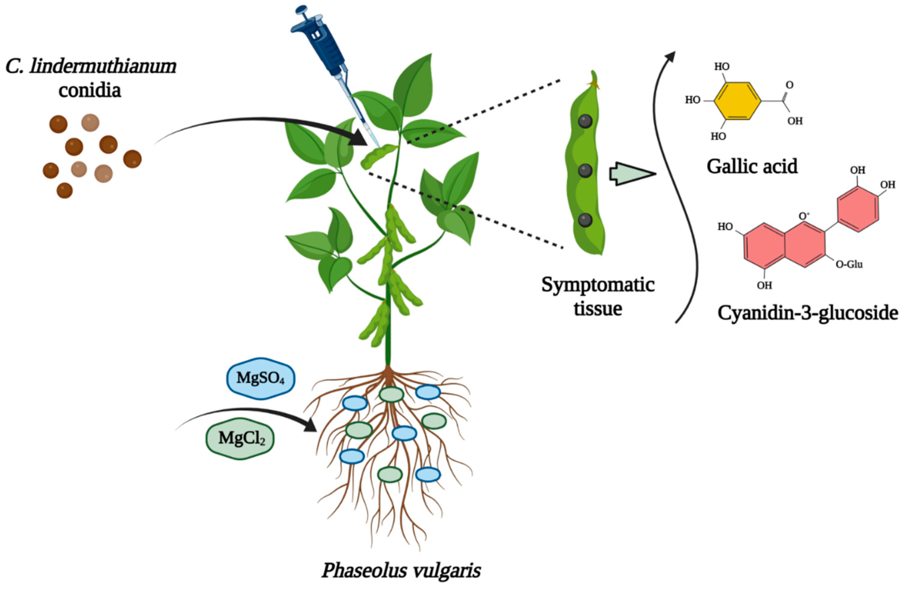 Microbiolres 14 00139 g003