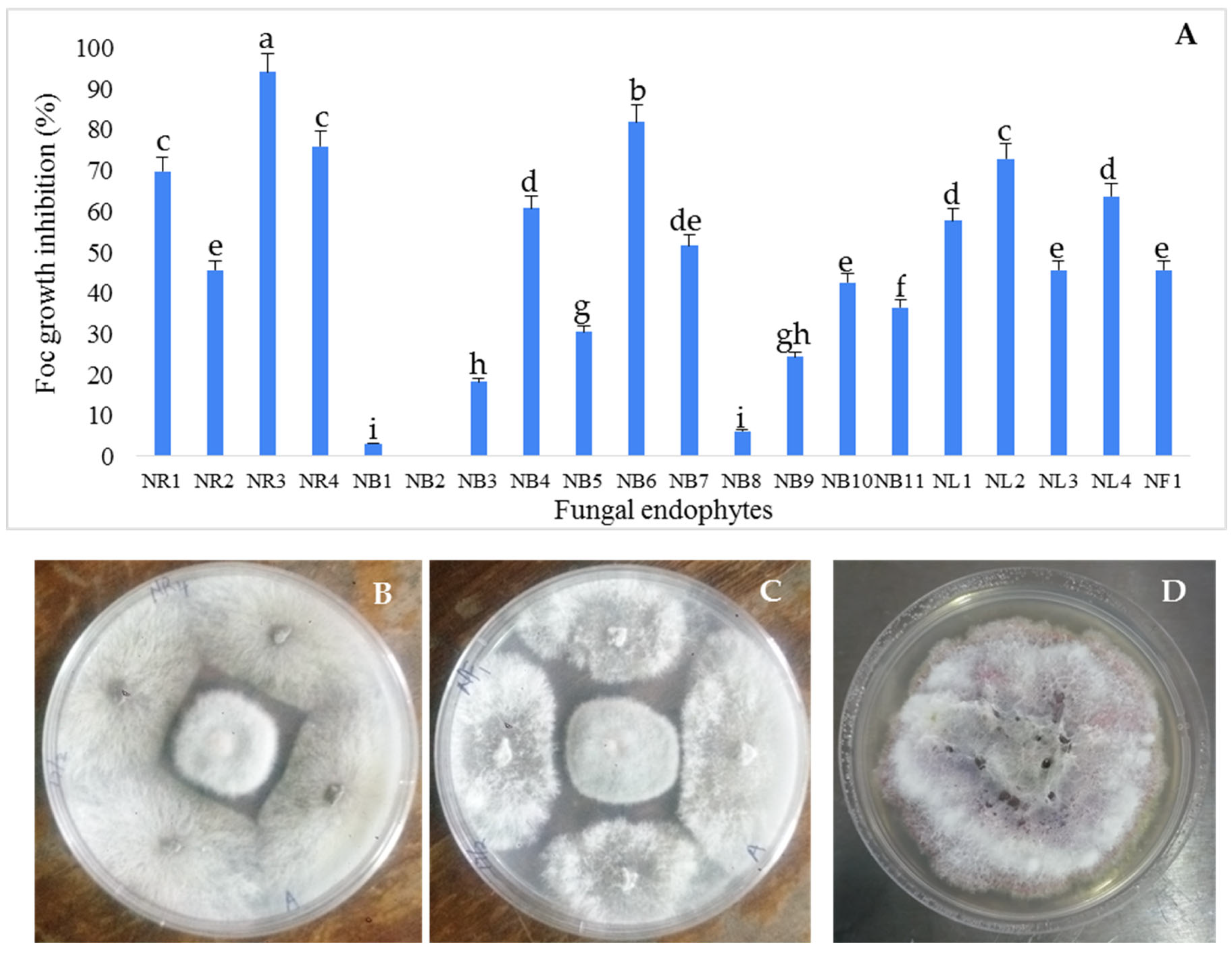 Microbiolres 14 00143 g002
