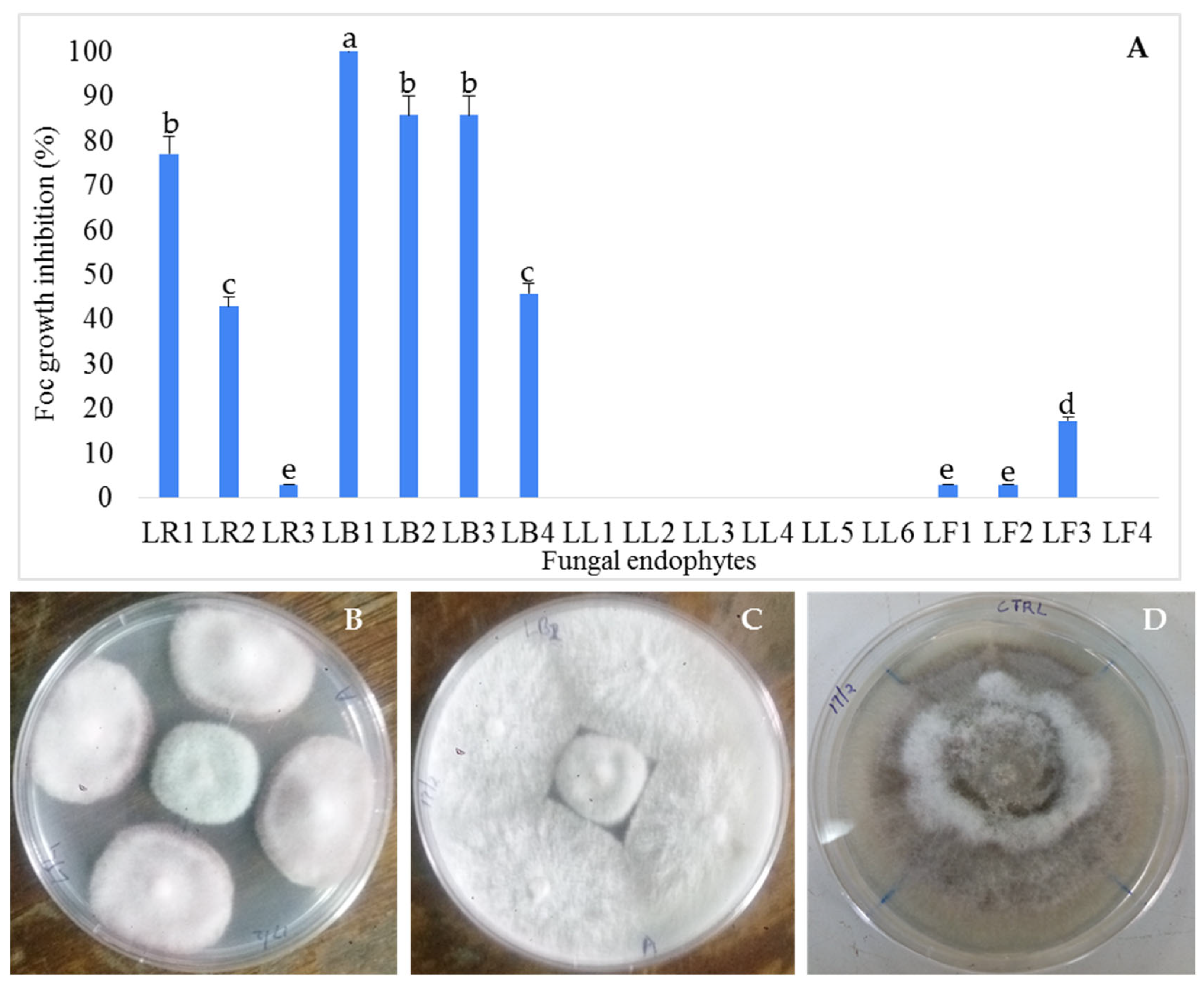 Microbiolres 14 00143 g003