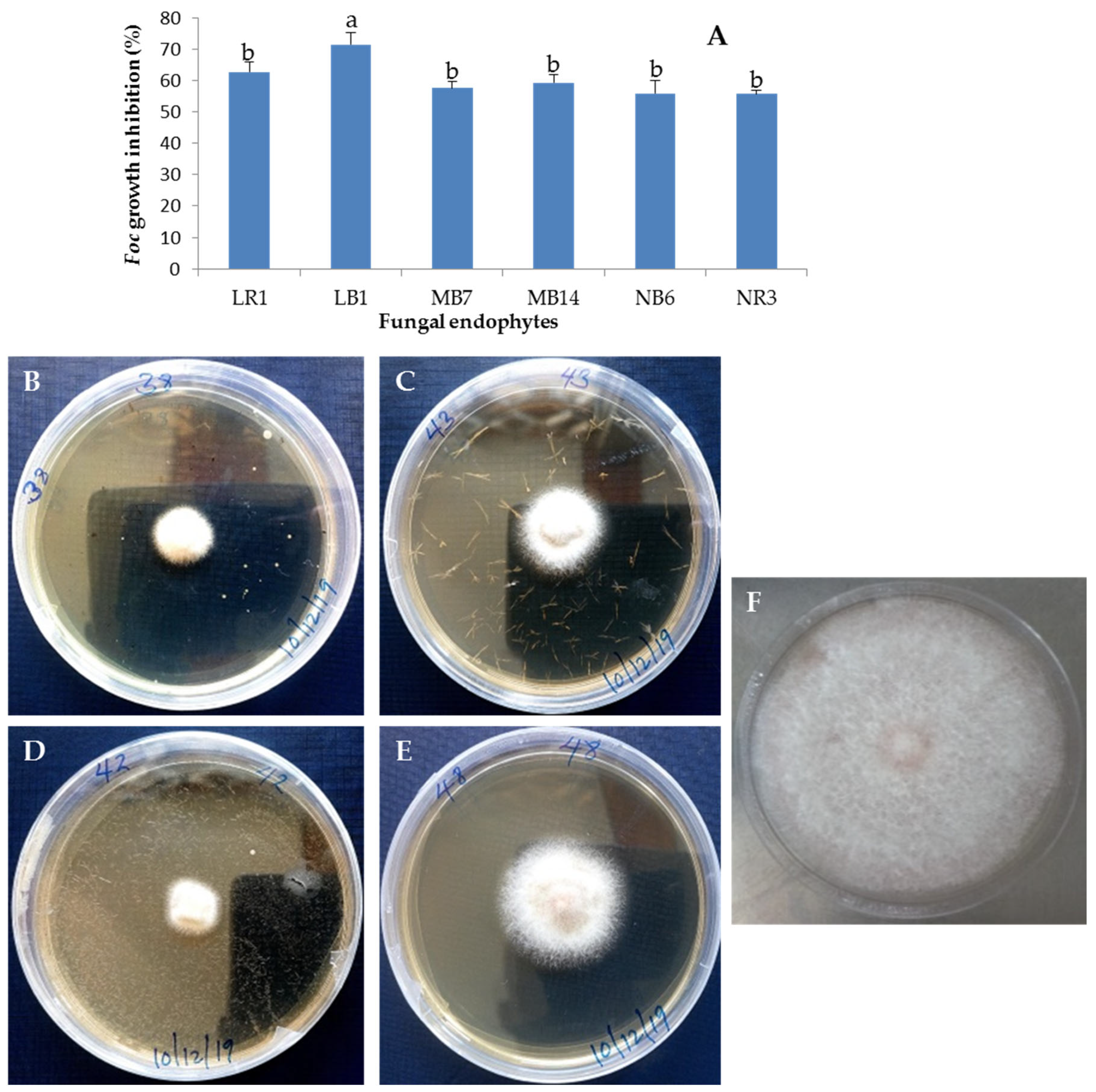 Microbiolres 14 00143 g005