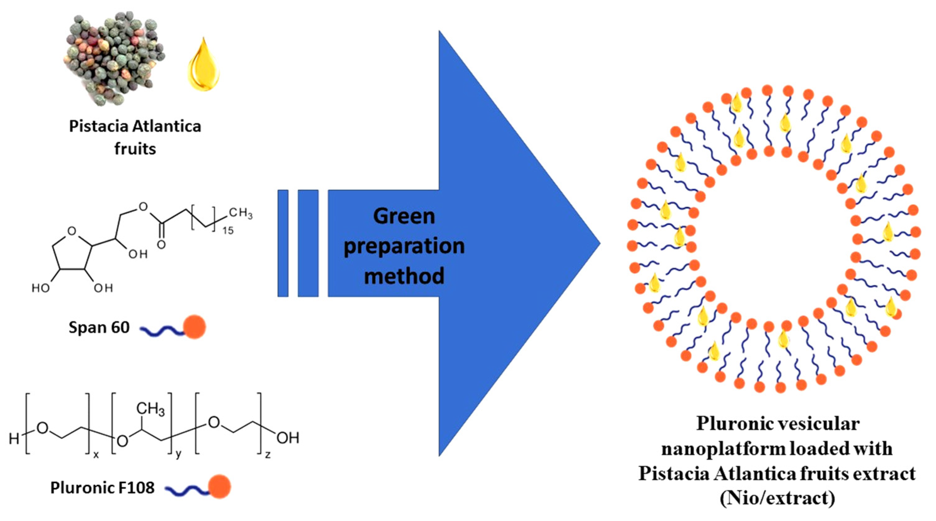 Microbiolres 14 00144 g001