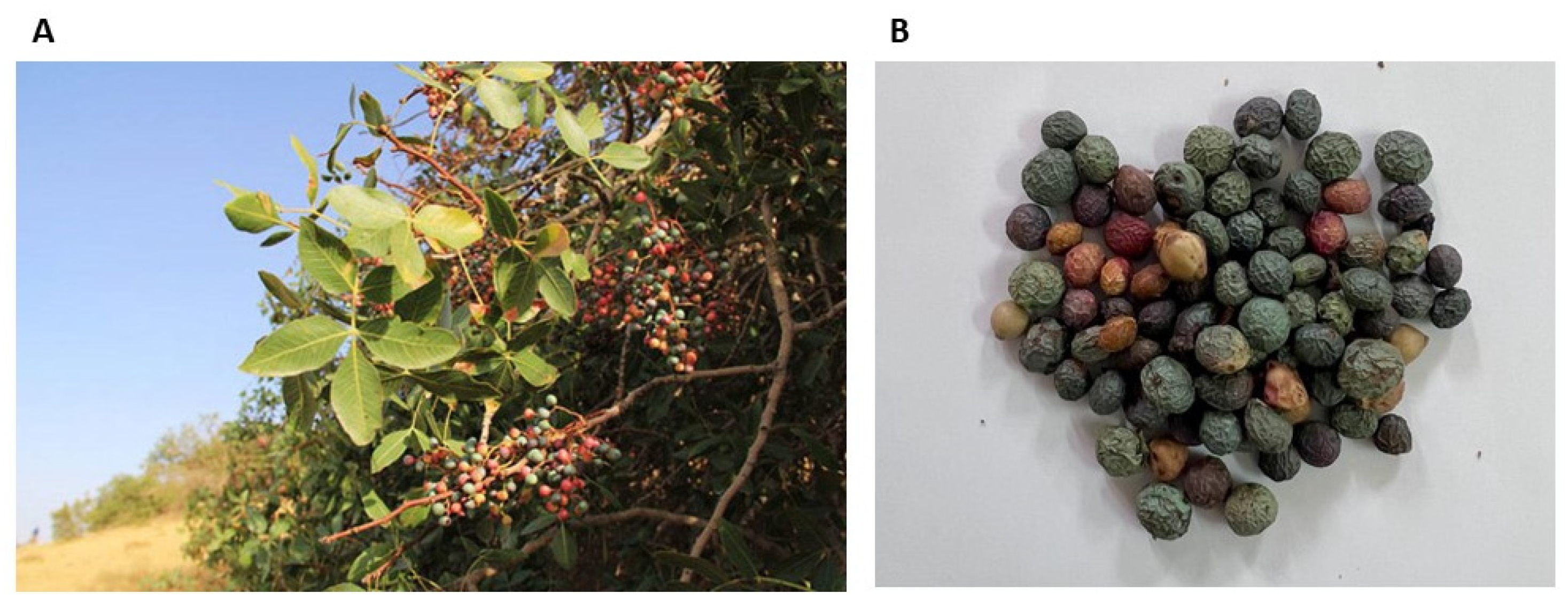 Microbiolres 14 00144 g002