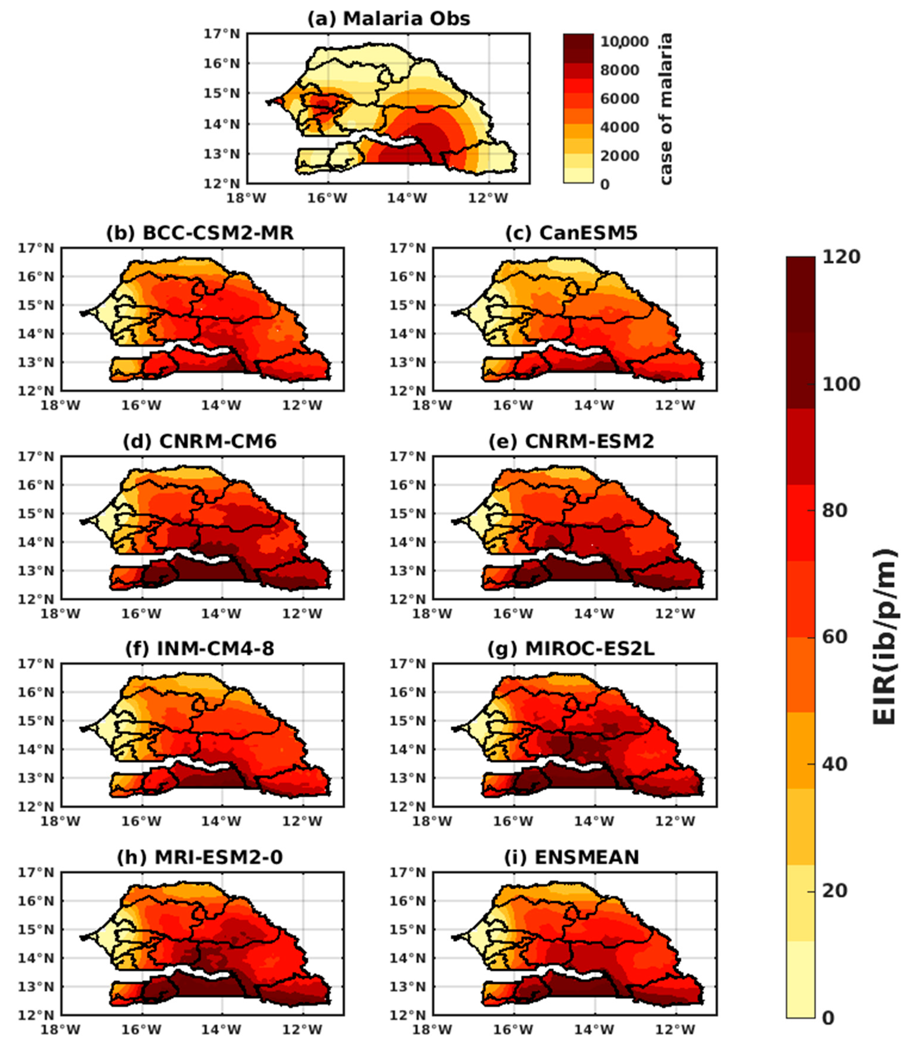 Microbiolres 14 00145 g004