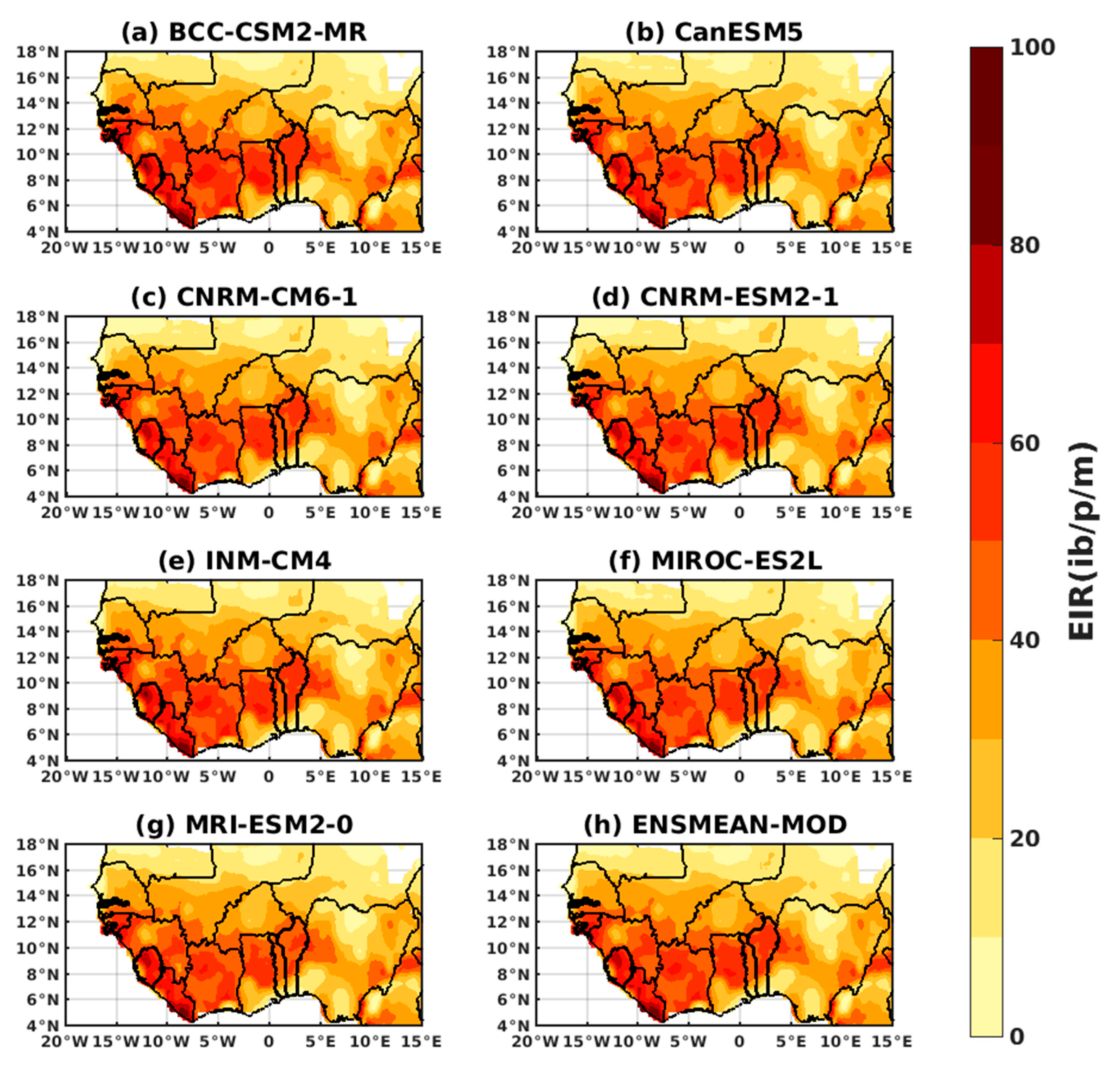 Microbiolres 14 00145 g016
