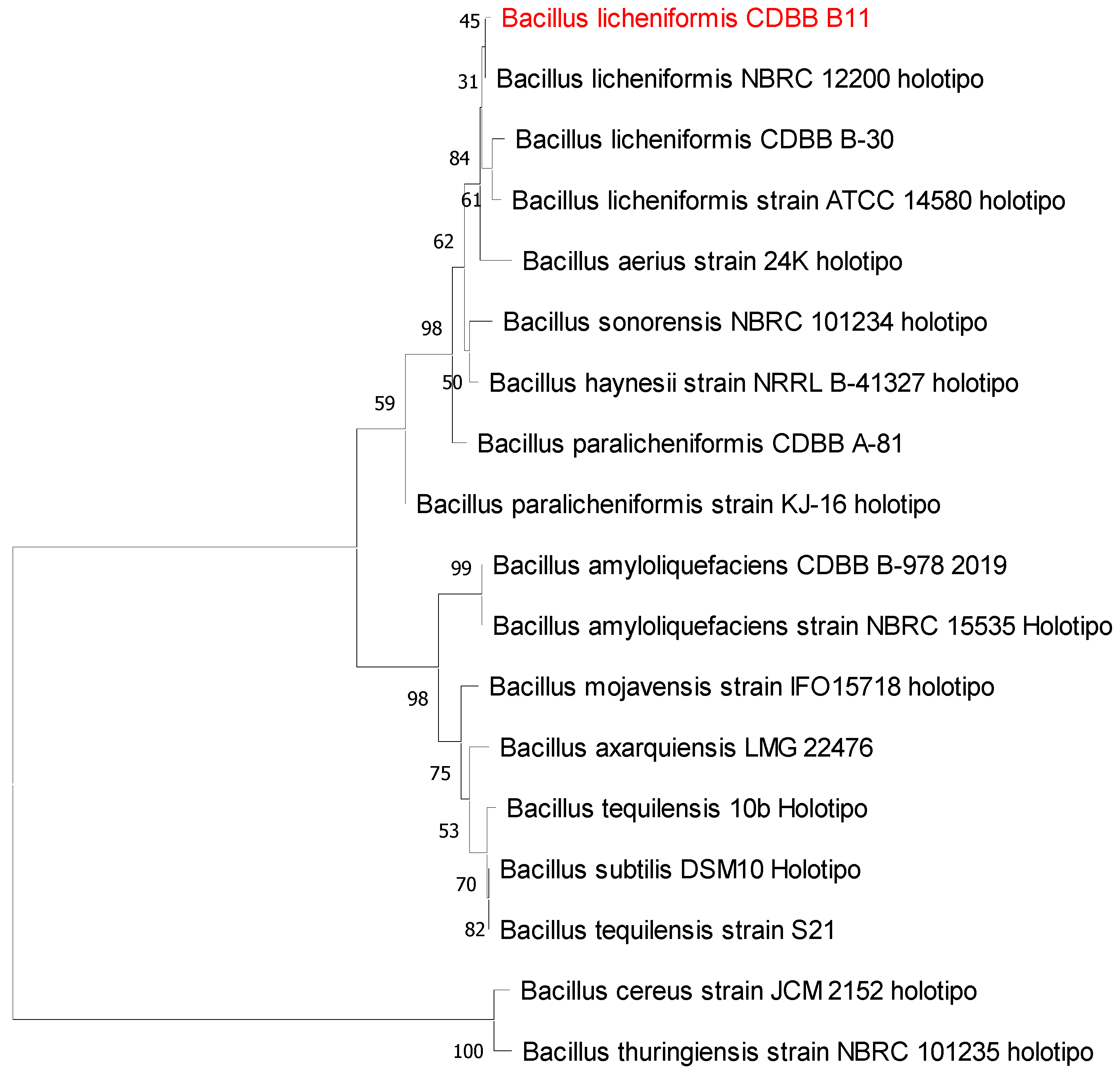 Microbiolres 15 00003 g002