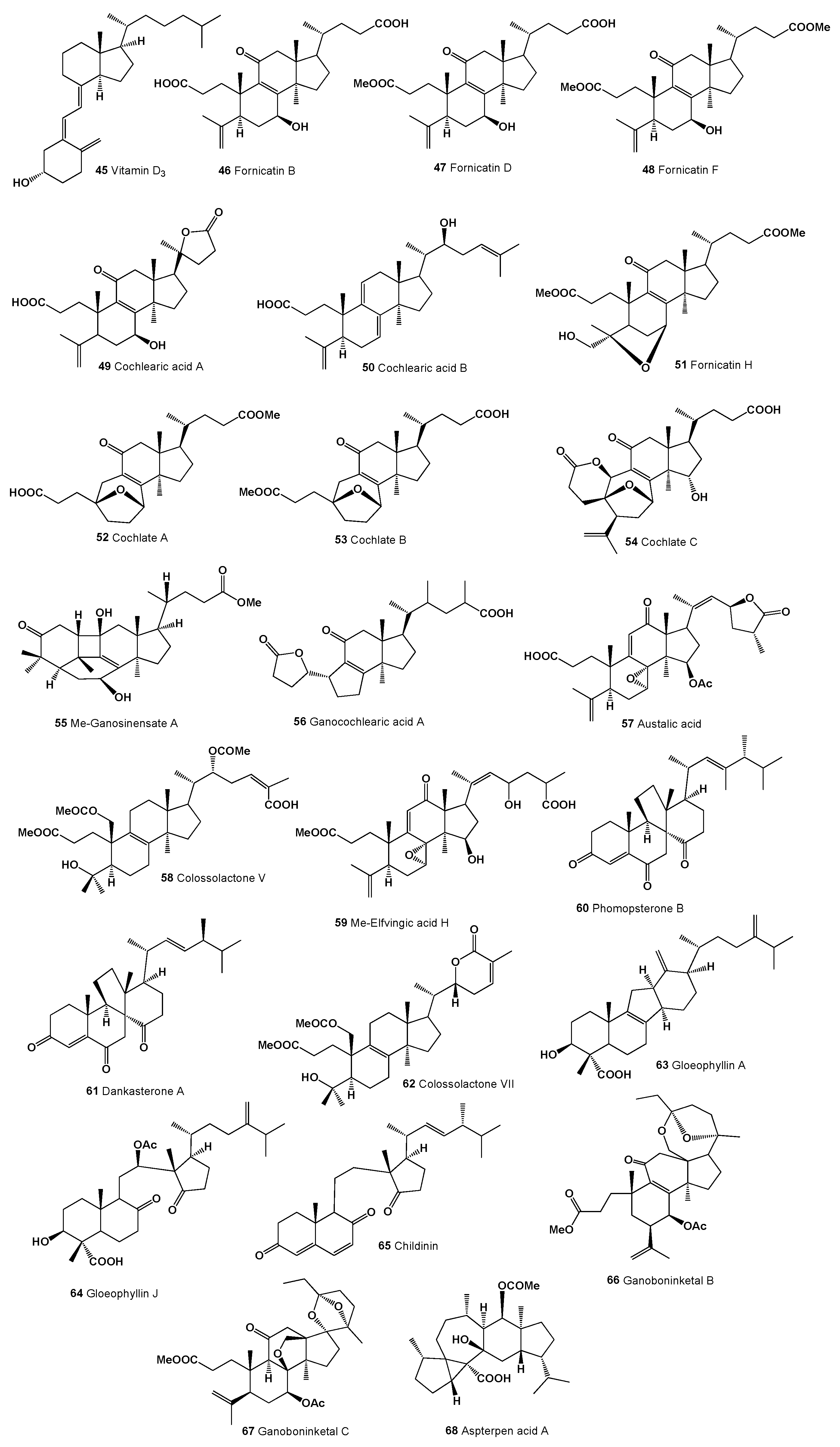Microbiolres 15 00005 g006 Microbiolres 15 00005 g006