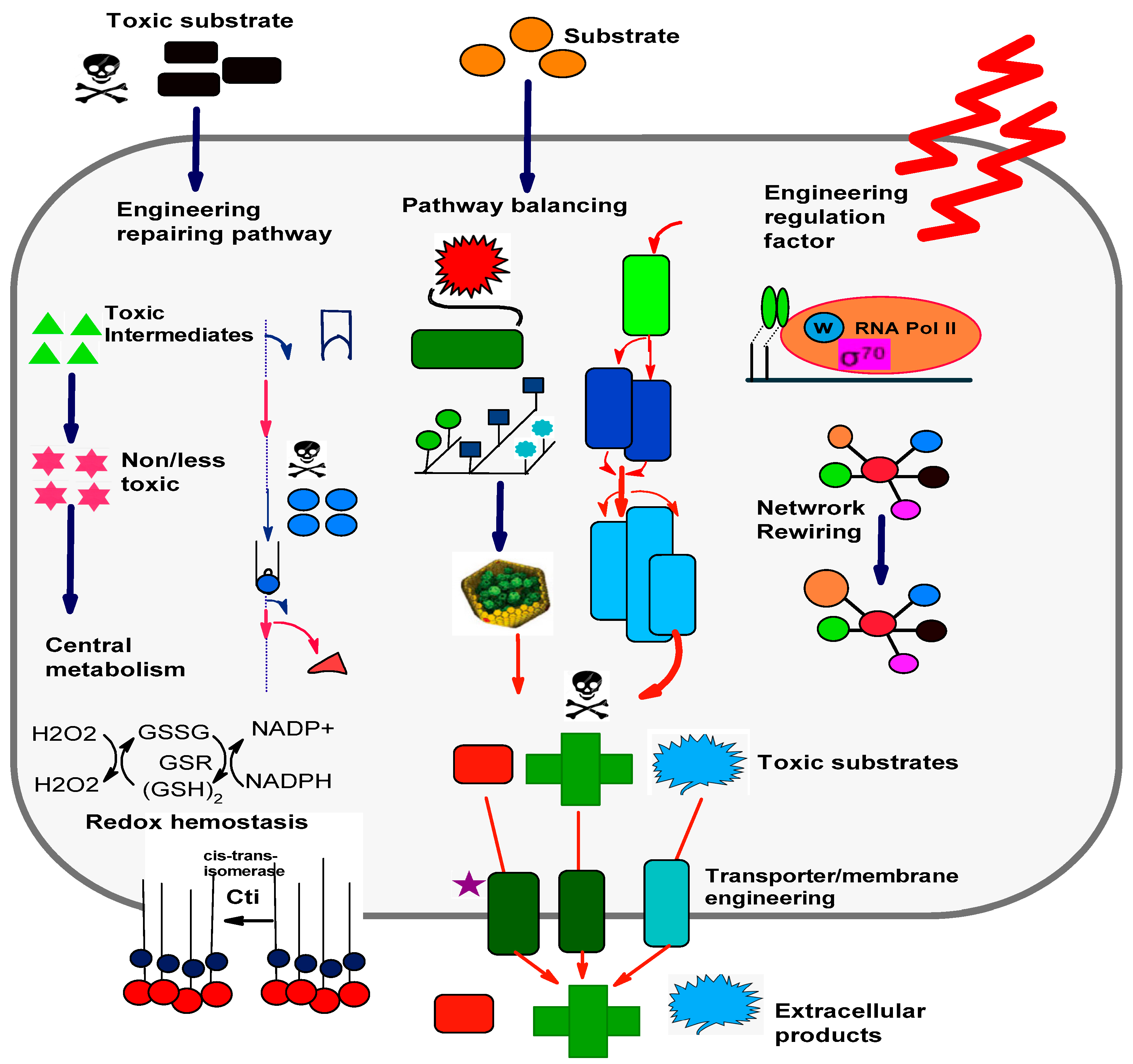 Microbiolres 15 00018 g003 Microbiolres 15 00018 g003