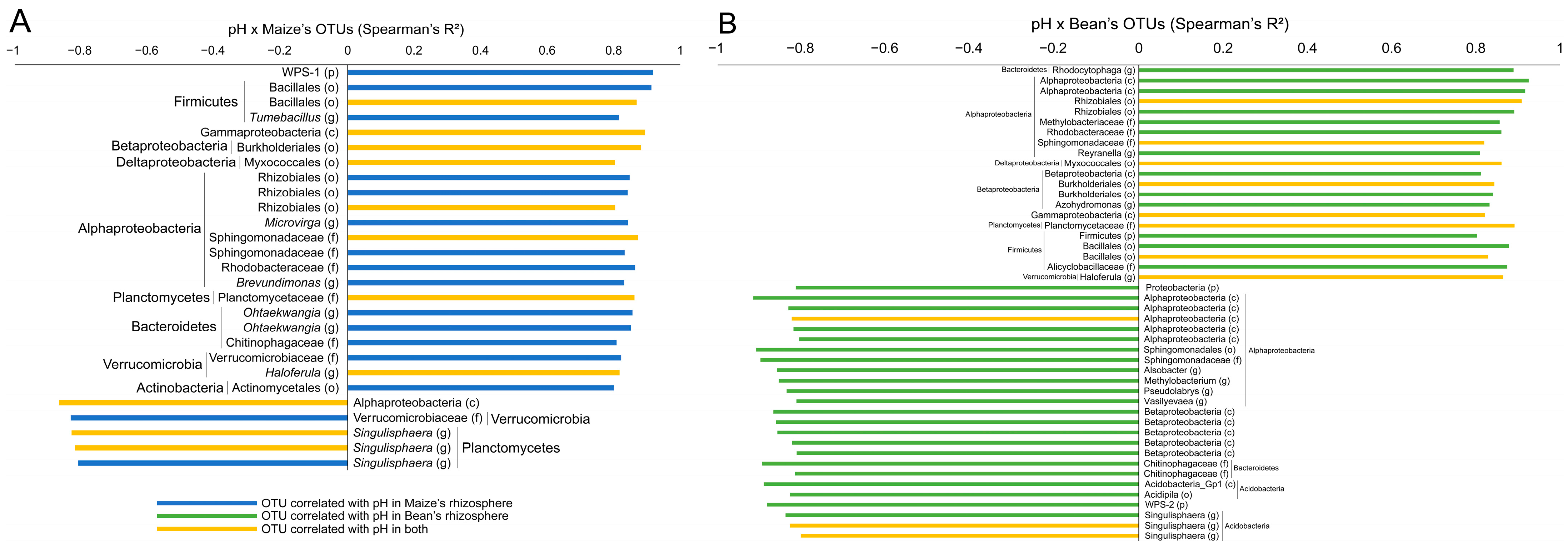 Microbiolres 15 00021 g004