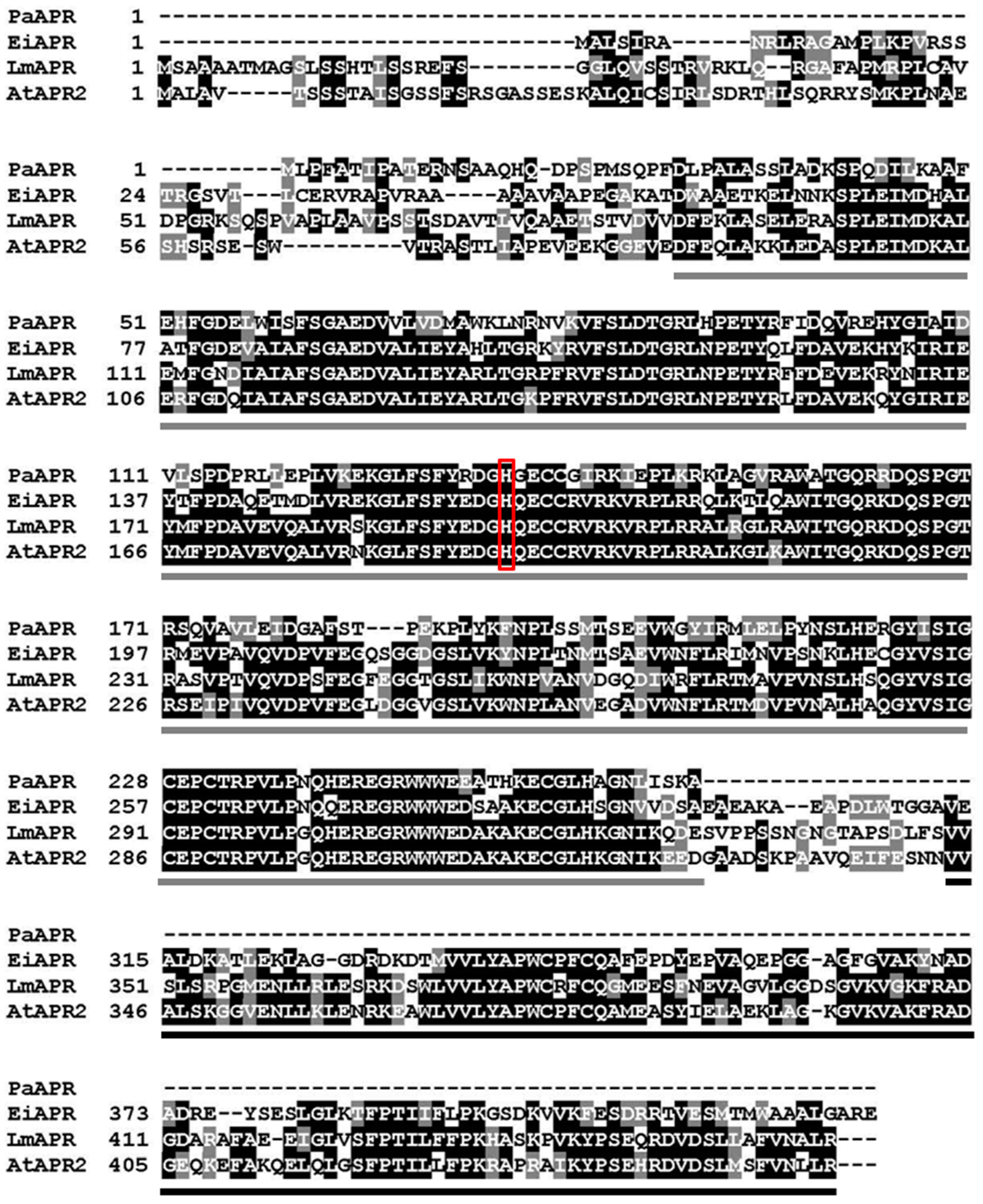 Microbiolres 15 00031 g002