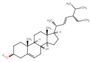 Microbiolres 15 00032 i015 Microbiolres 15 00032 i015
