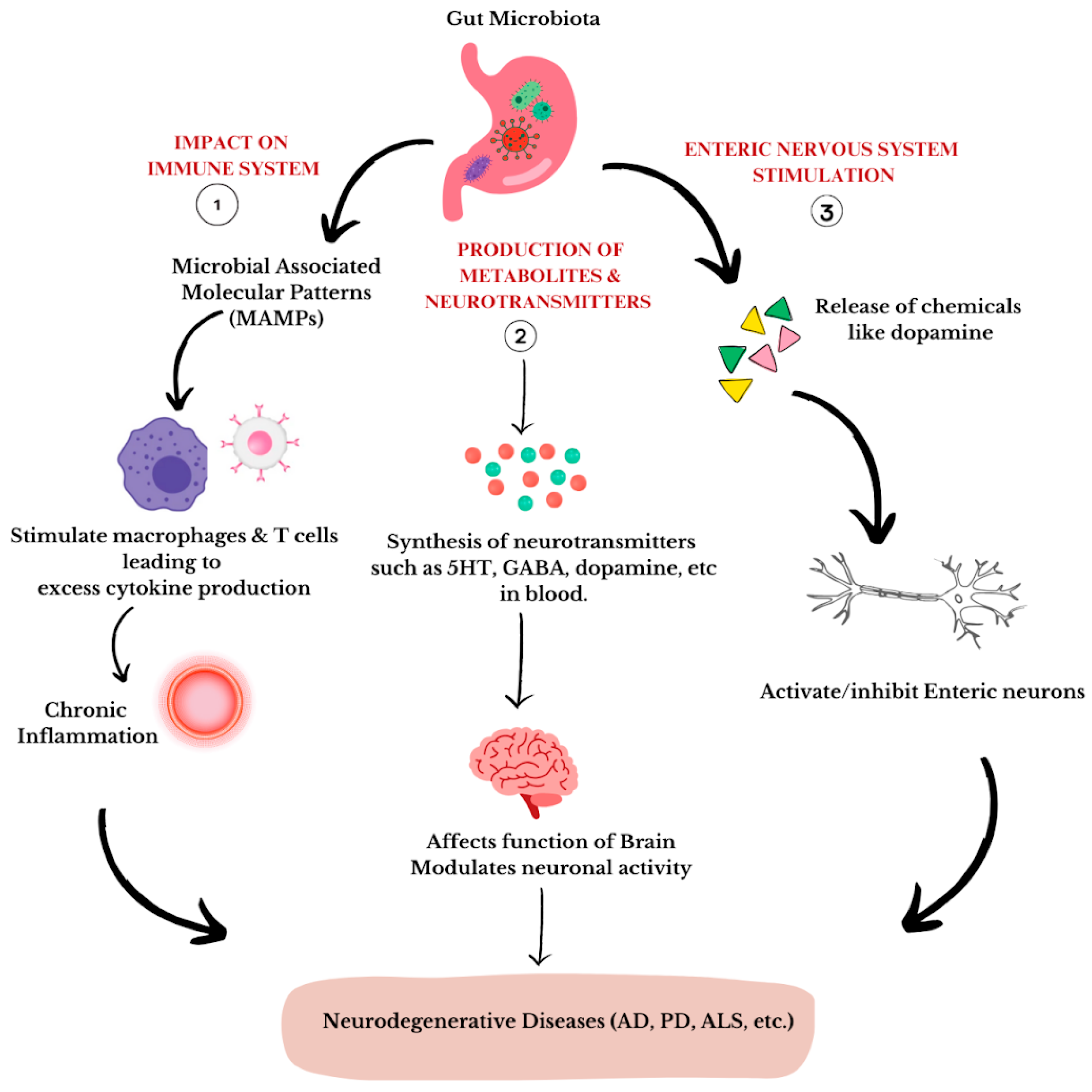 Microbiolres 15 00033 g001