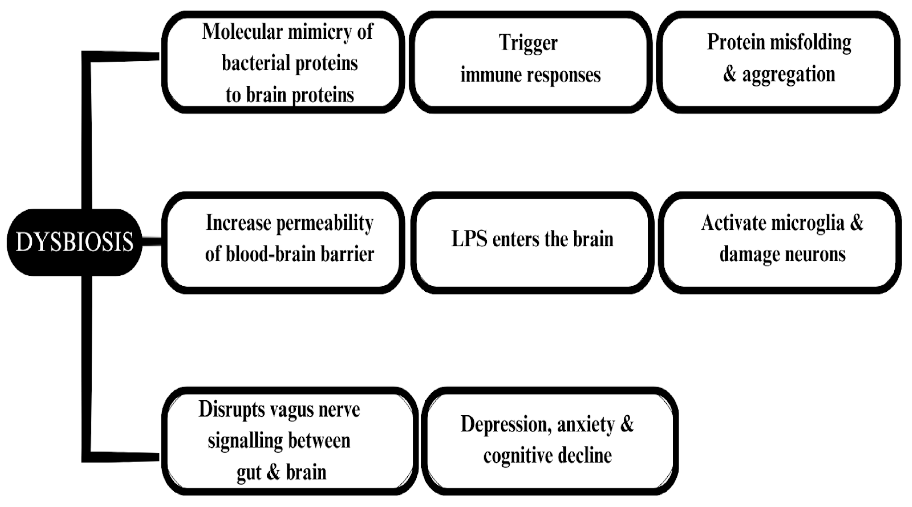 Microbiolres 15 00033 g003