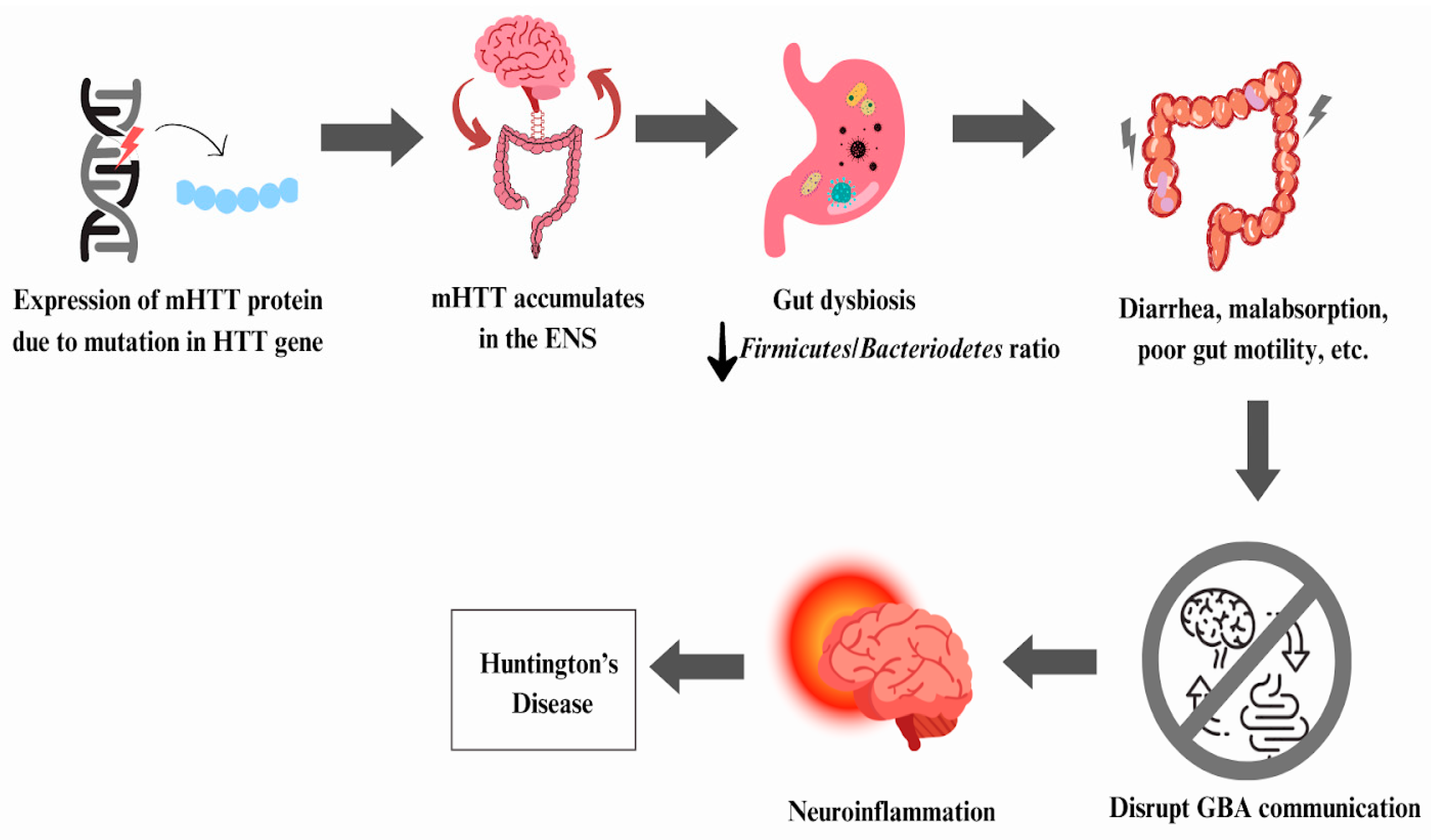 Microbiolres 15 00033 g005