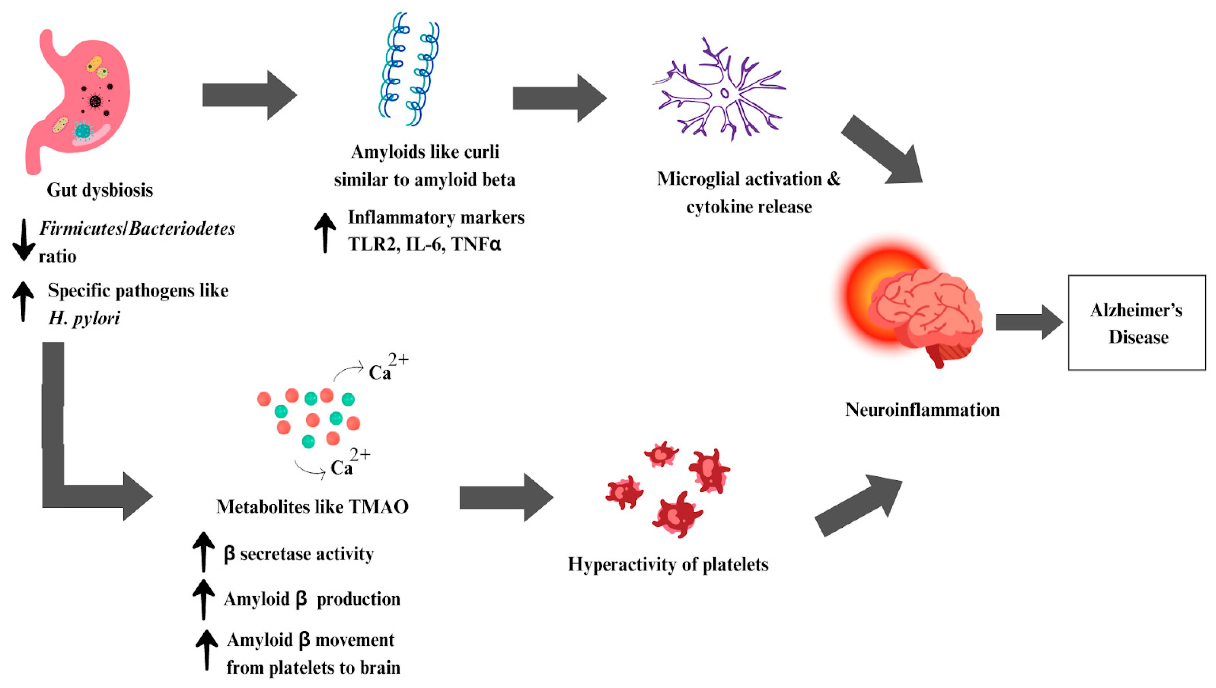 Microbiolres 15 00033 g006