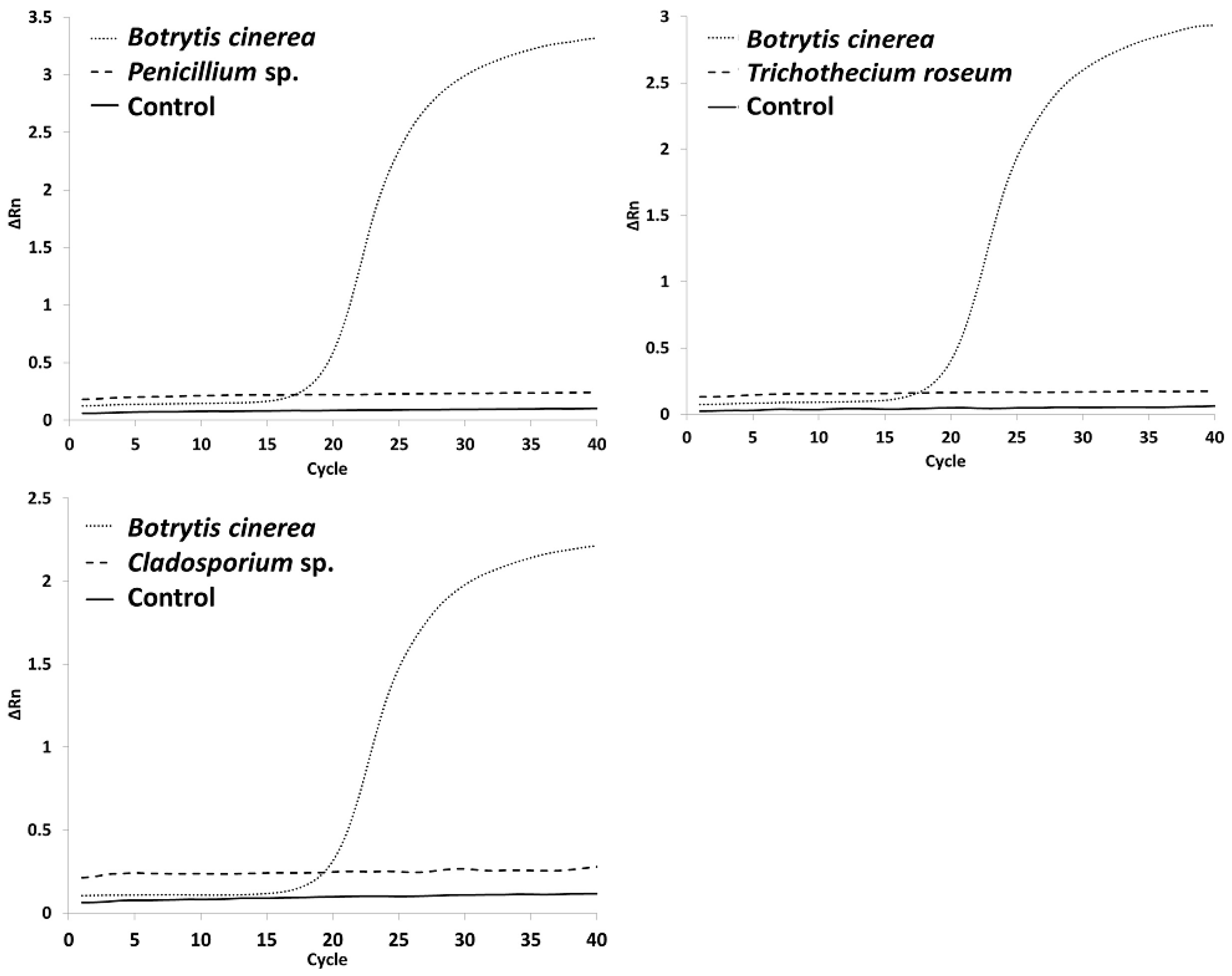 Microbiolres 15 00037 g001 Microbiolres 15 00037 g001