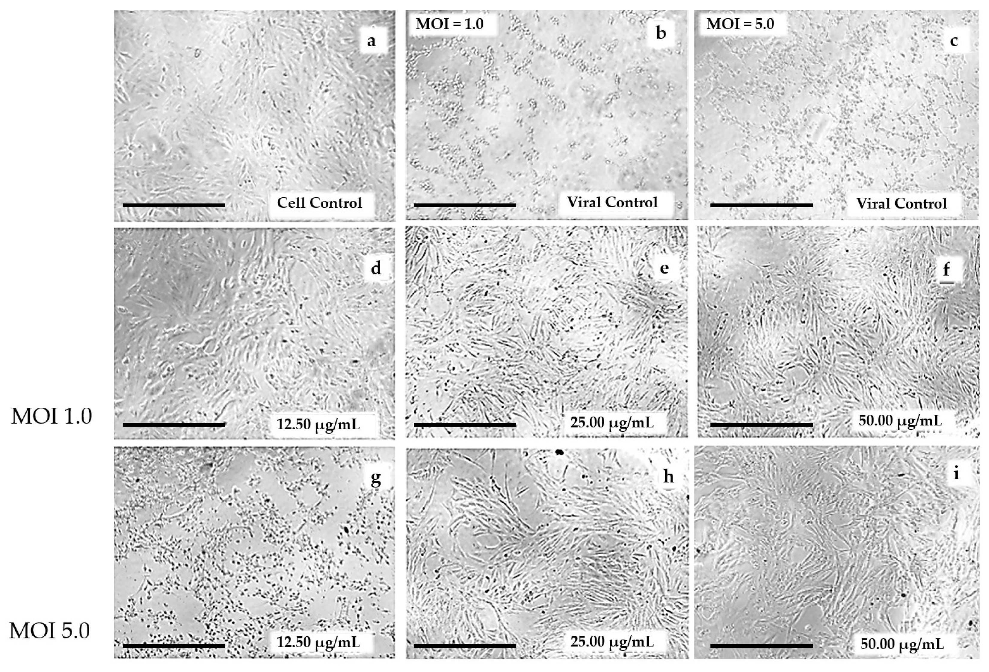 Microbiolres 15 00038 g003