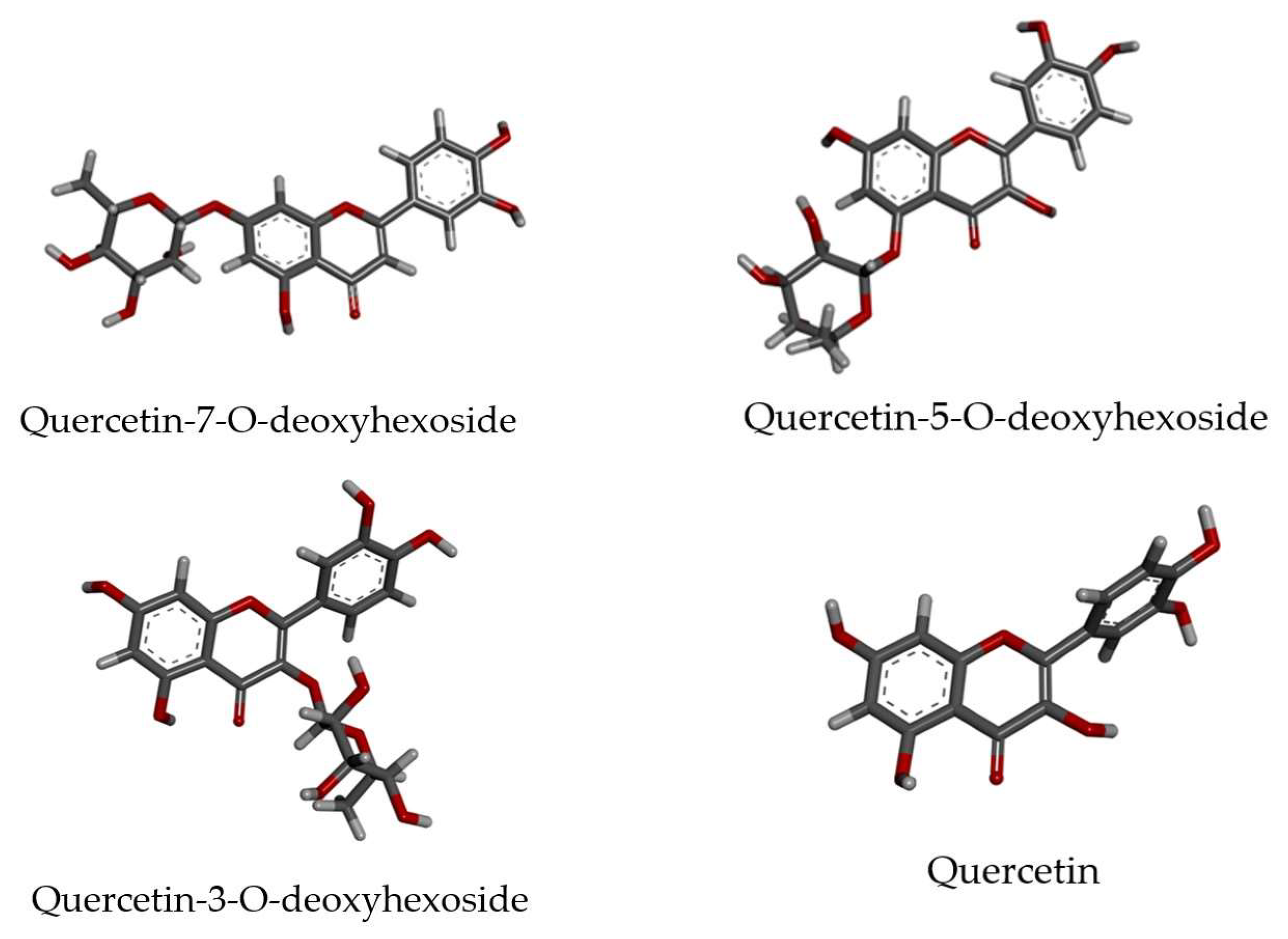 Microbiolres 15 00038 g005