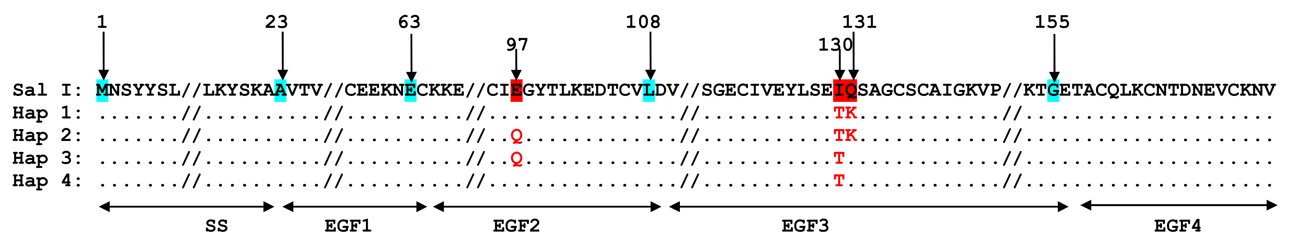 Microbiolres 15 00045 g002