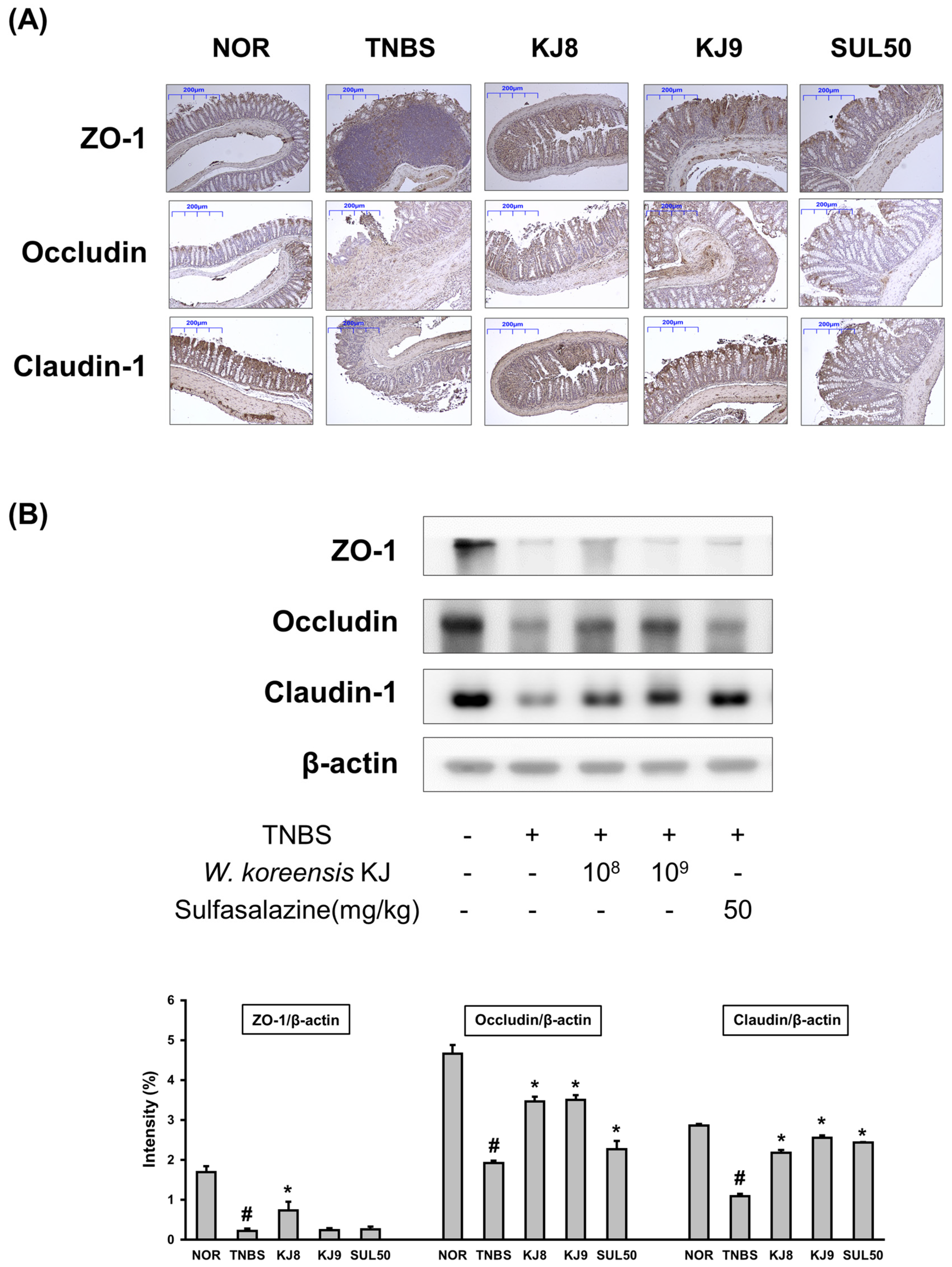 Microbiolres 15 00047 g004